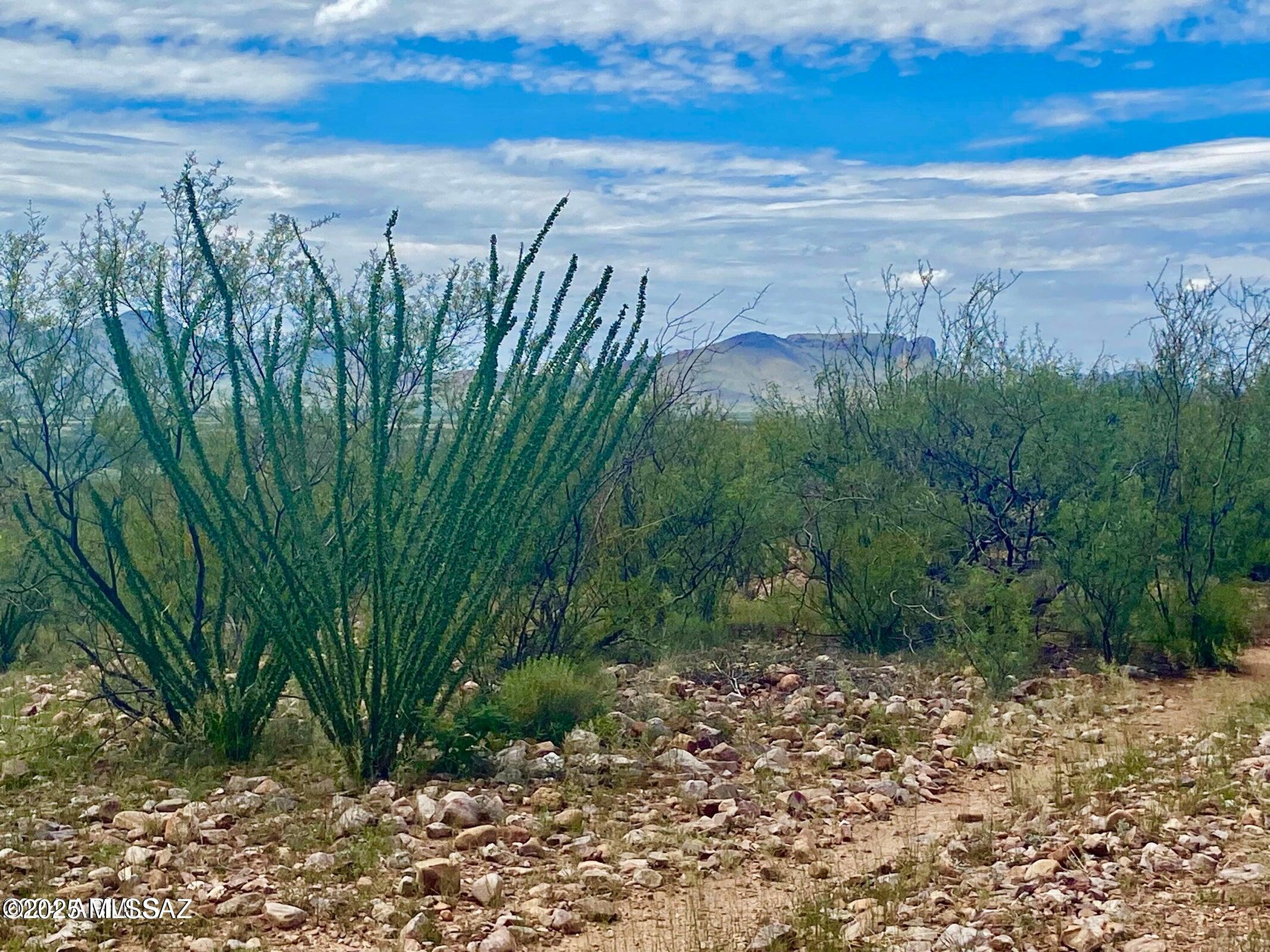 Out Of Pima County - Land