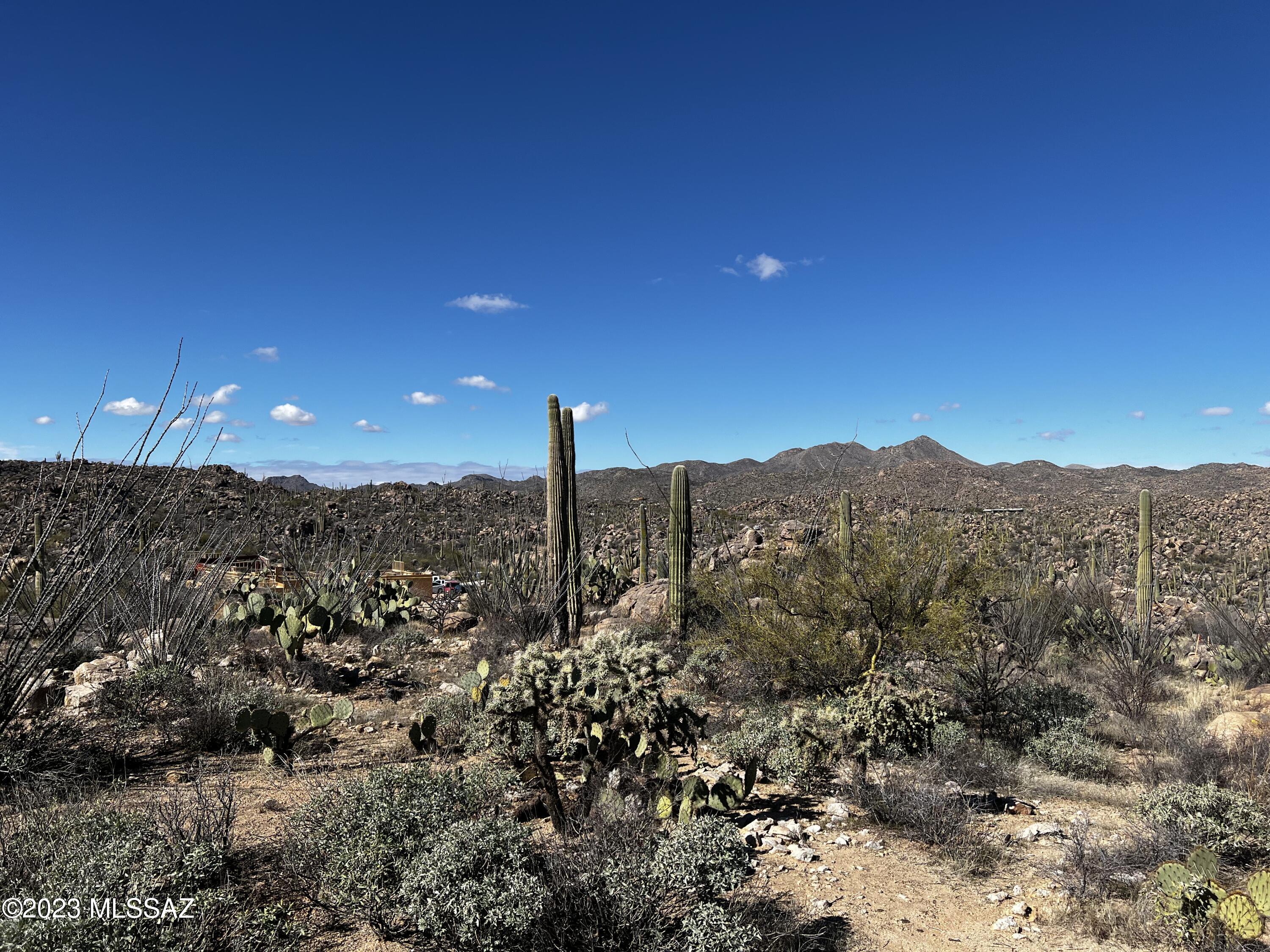 Stone Canyon VIII (486-602) - Land