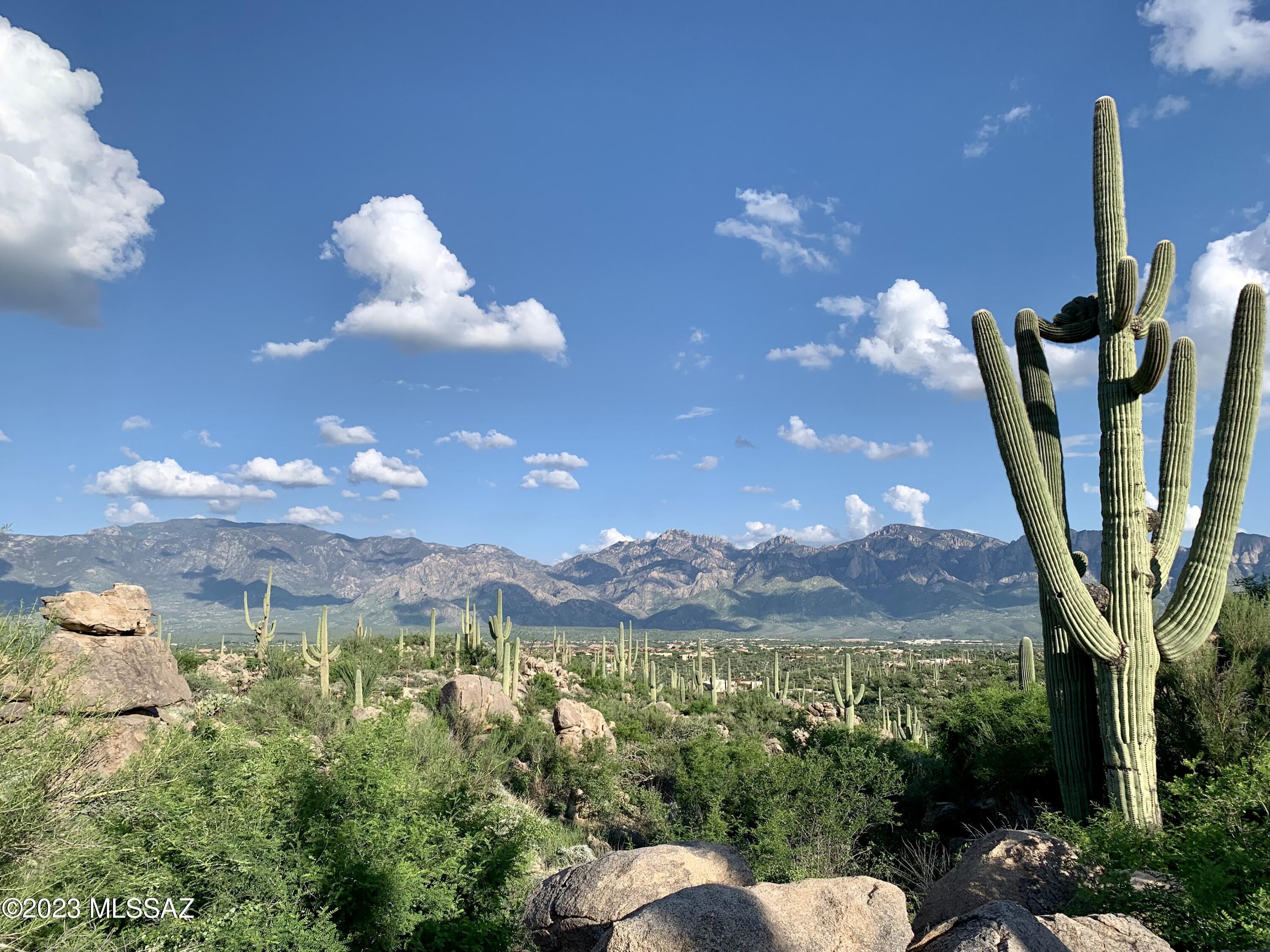 Stone Canyon VIII (486-602) - Land