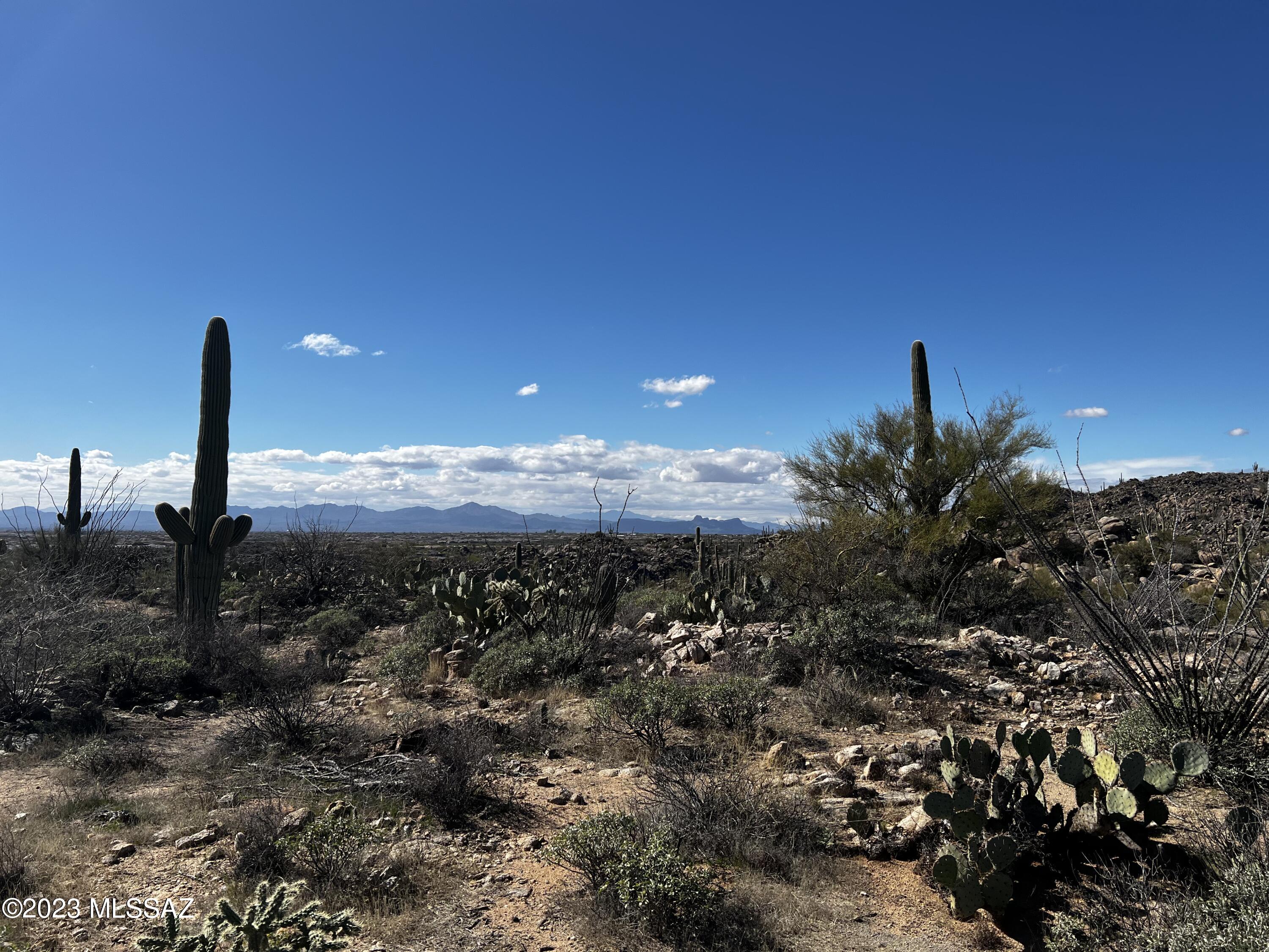 Stone Canyon VIII (486-602) - Land