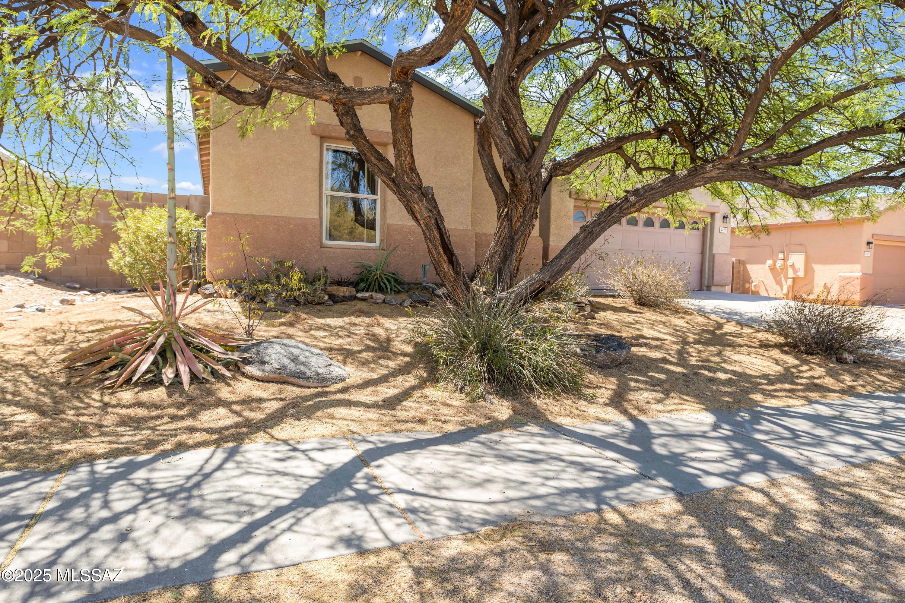 3347 S Desert Scroll Place