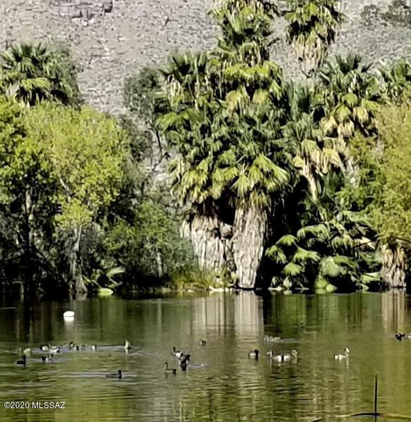 Agua Caliente Estates (1-82) - Residential