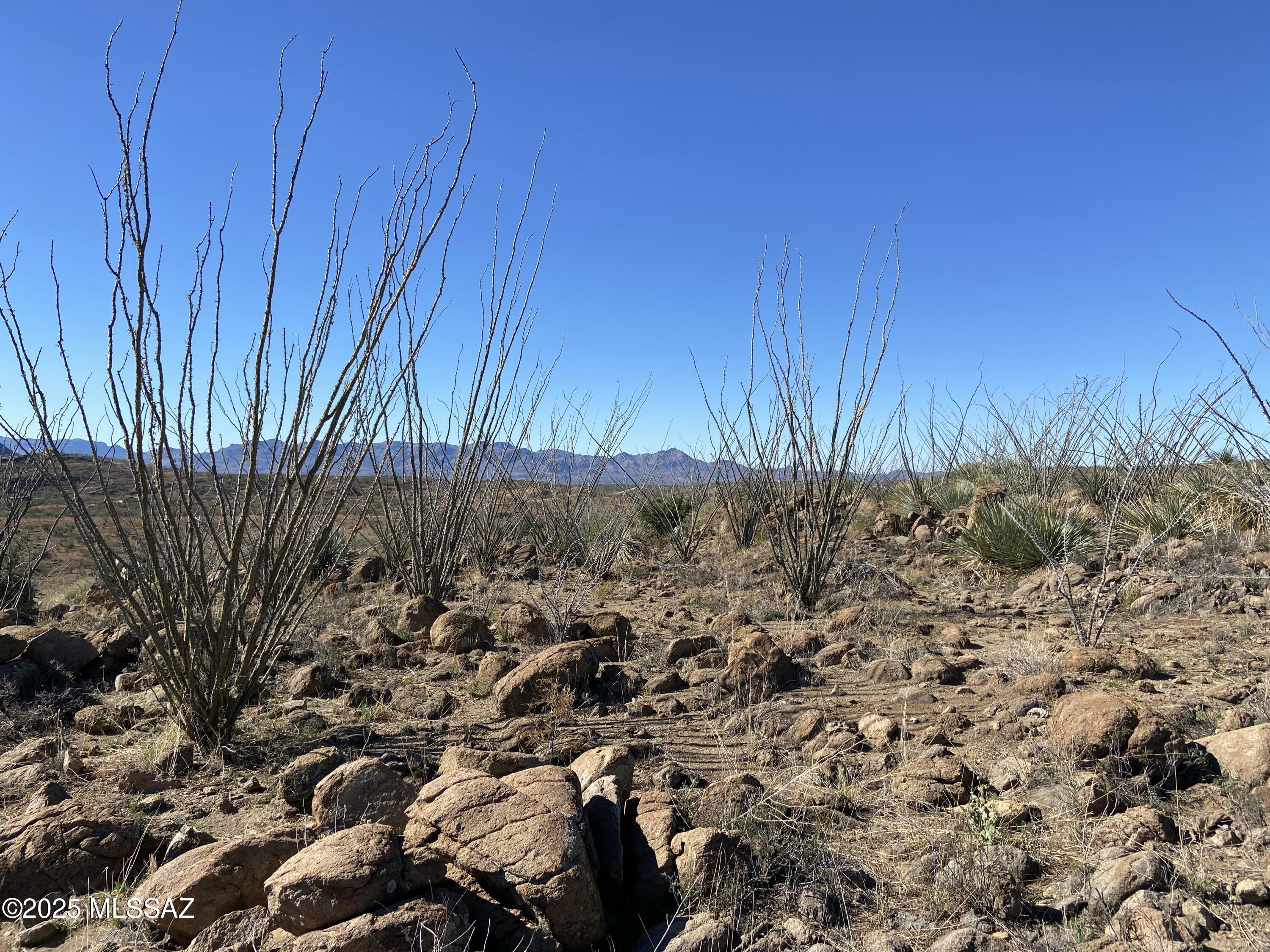 Salero Ranch - Land