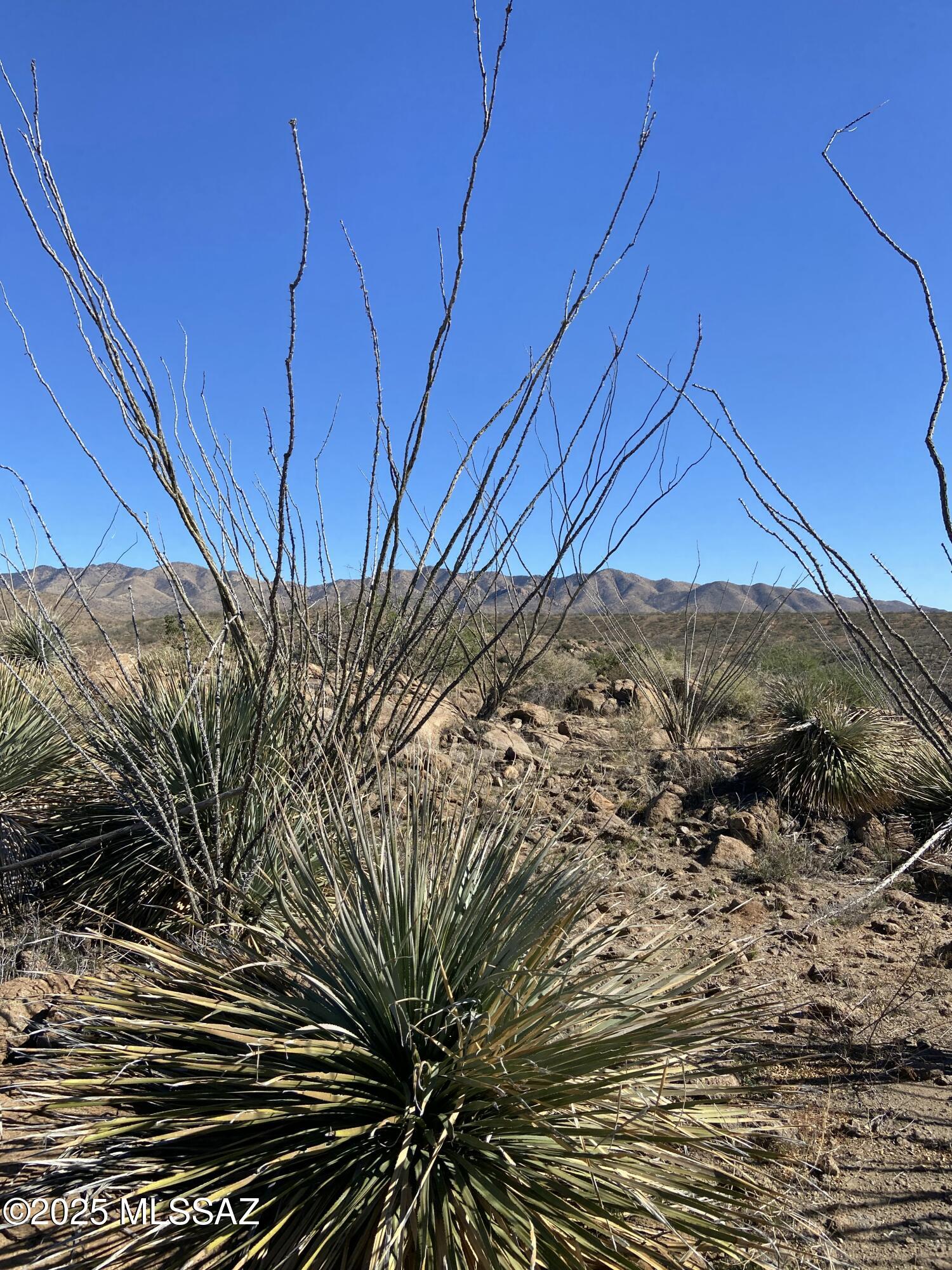 Salero Ranch - Land