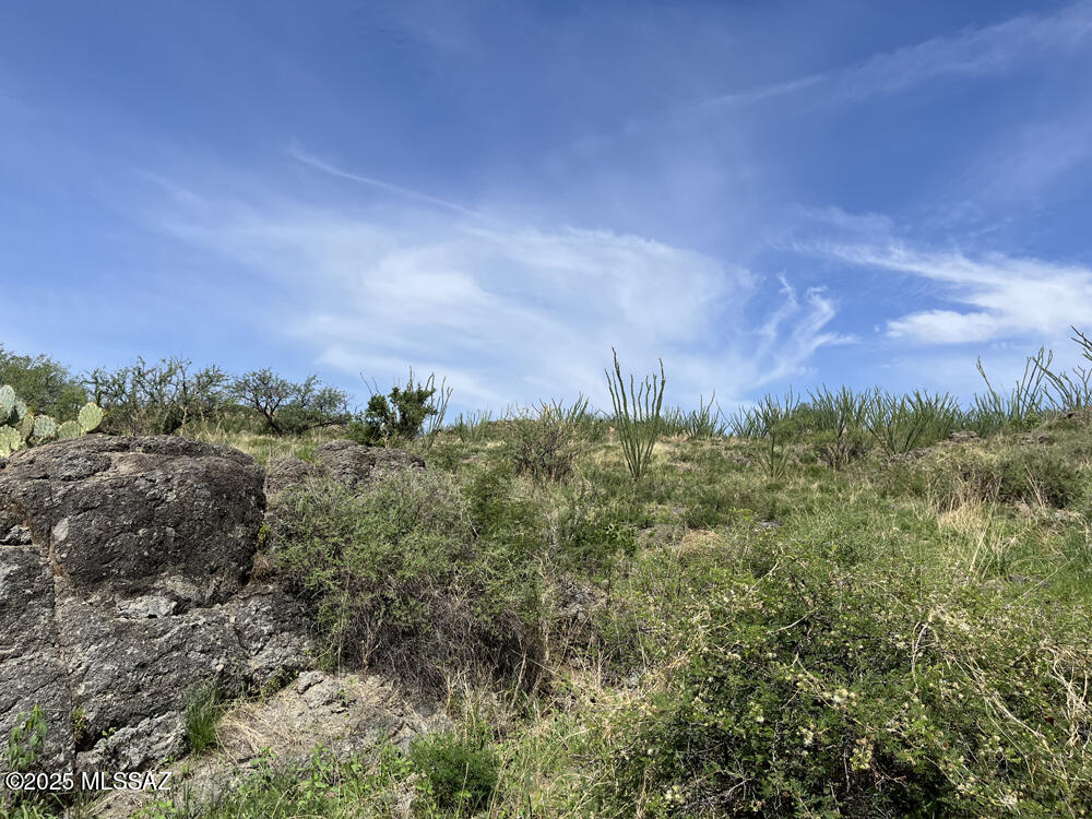 Salero Ranch - Land