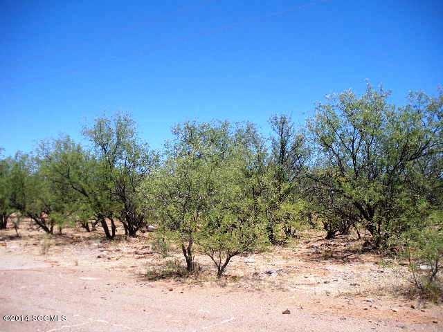 Rio Rico Ranchettes 18 - Land