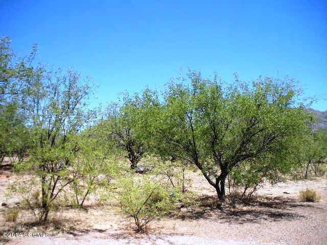 Rio Rico Ranchettes 18 - Land
