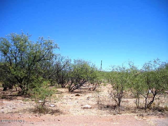 Rio Rico Ranchettes 18 - Land
