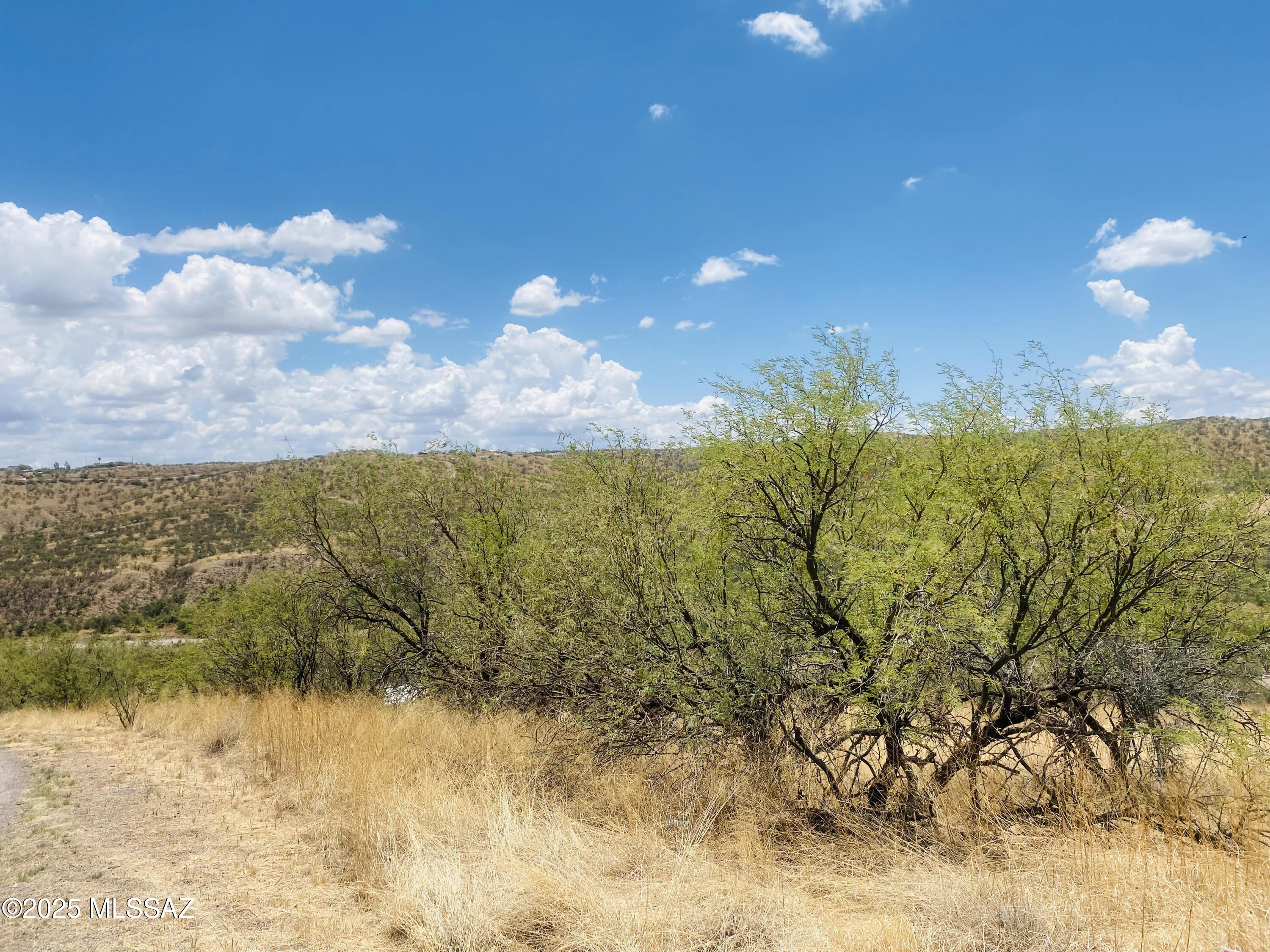 Rio Rico Ranchettes 10 - Land