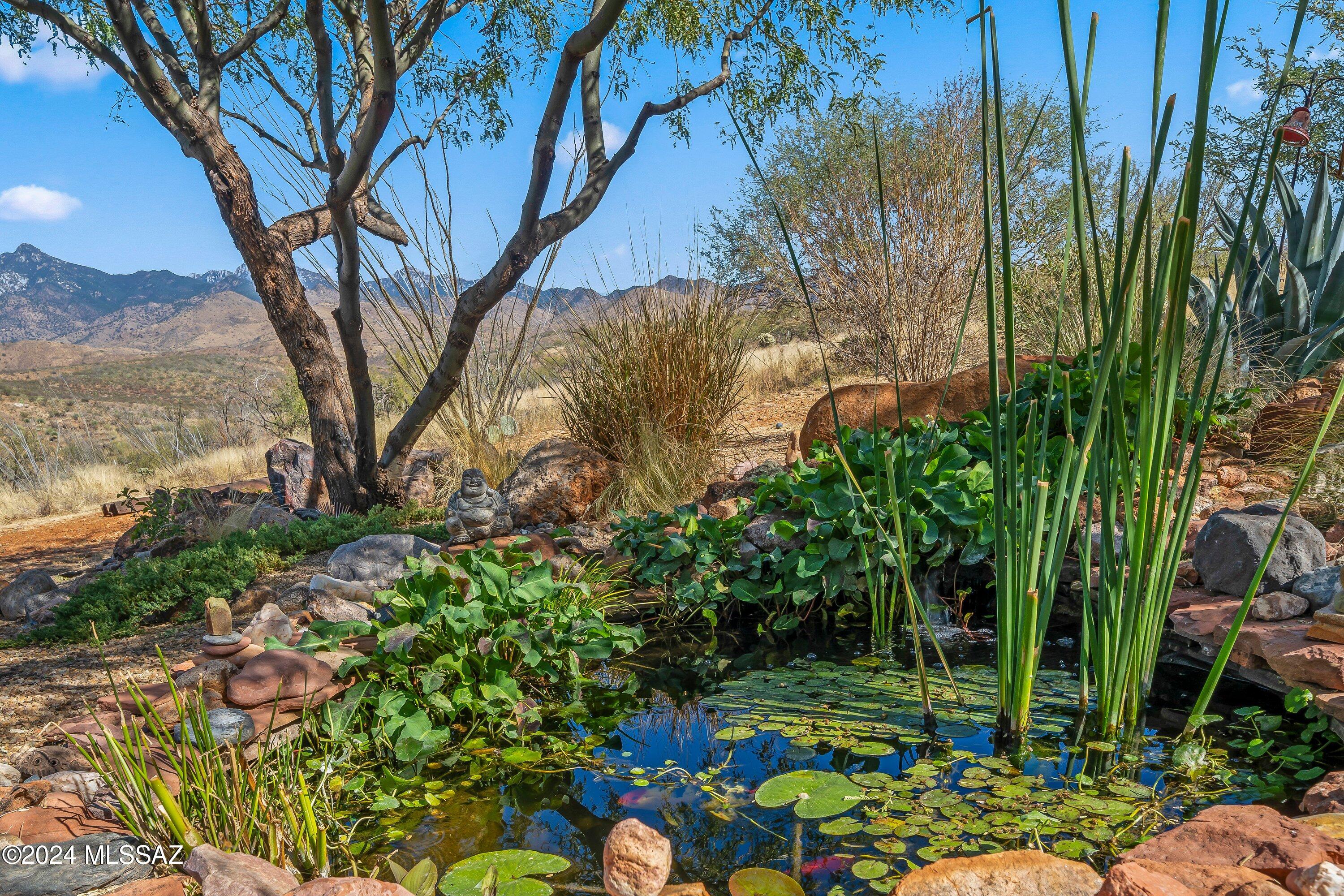 Tubac Foothills Ranch - Residential