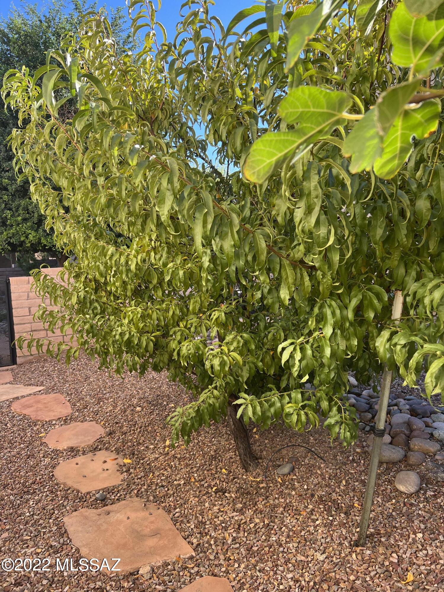 Quail Creek (1-306) - Residential