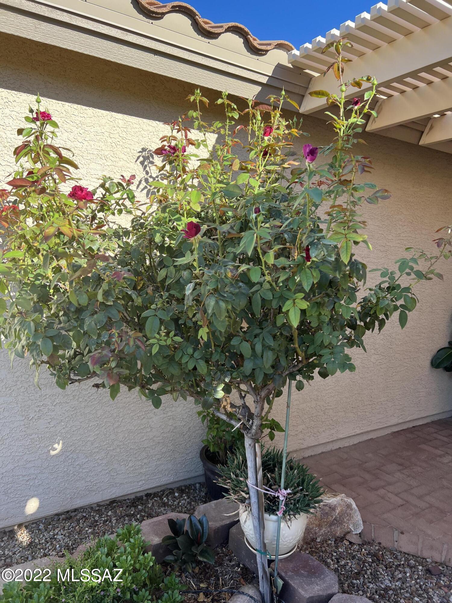 Quail Creek (1-306) - Residential