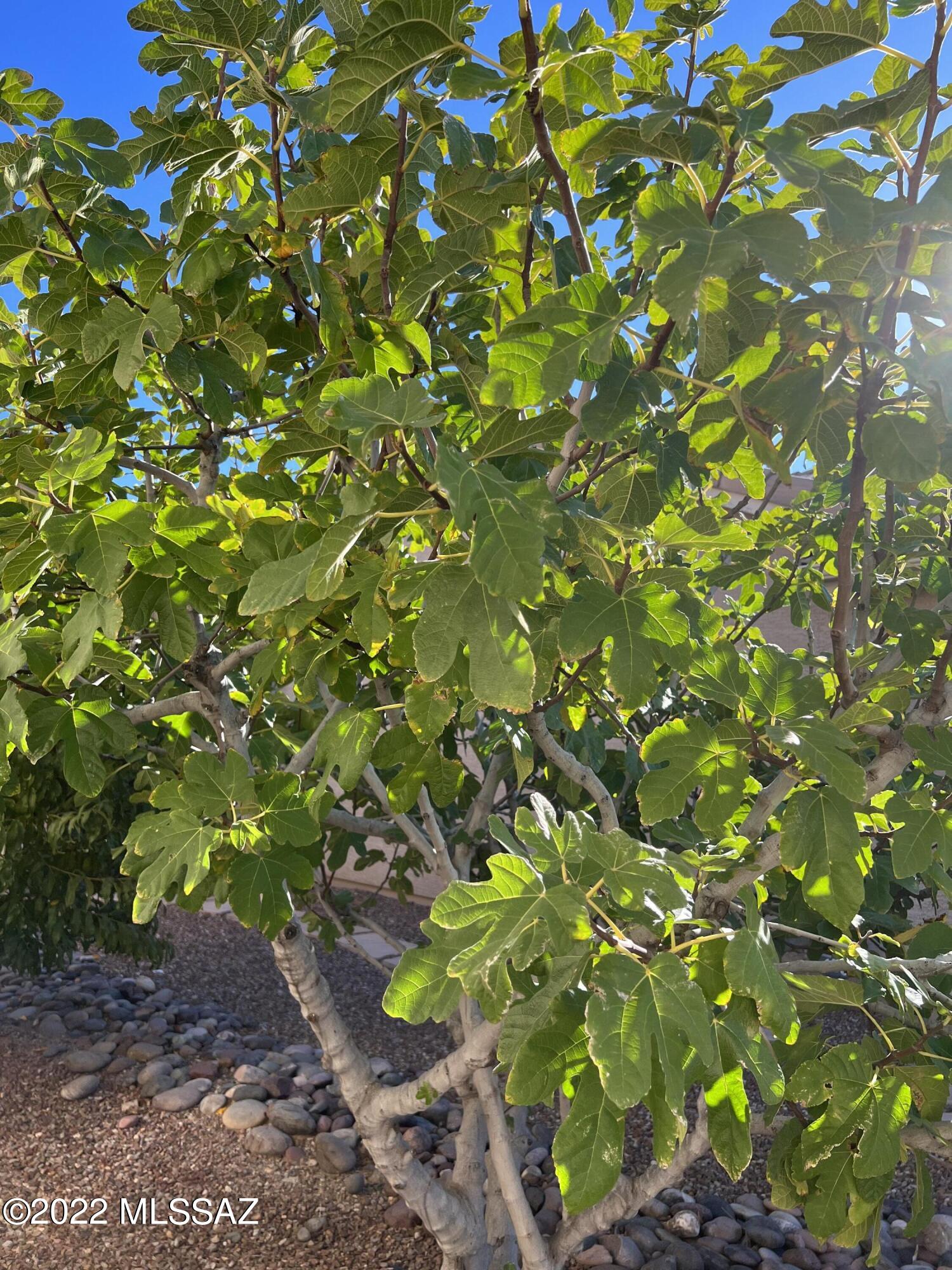 Quail Creek (1-306) - Residential
