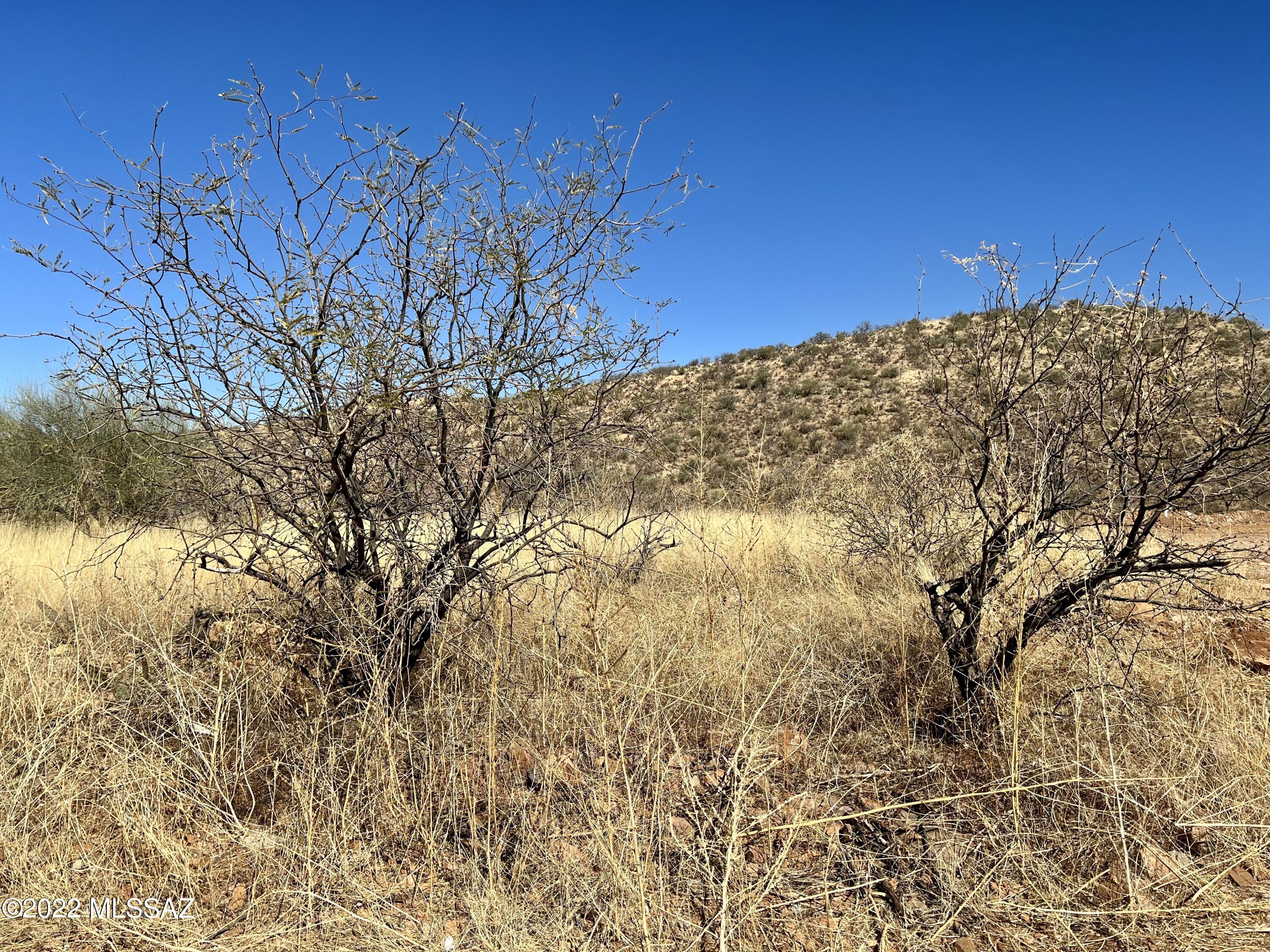 Rio Rico Ranchettes 17 - Land