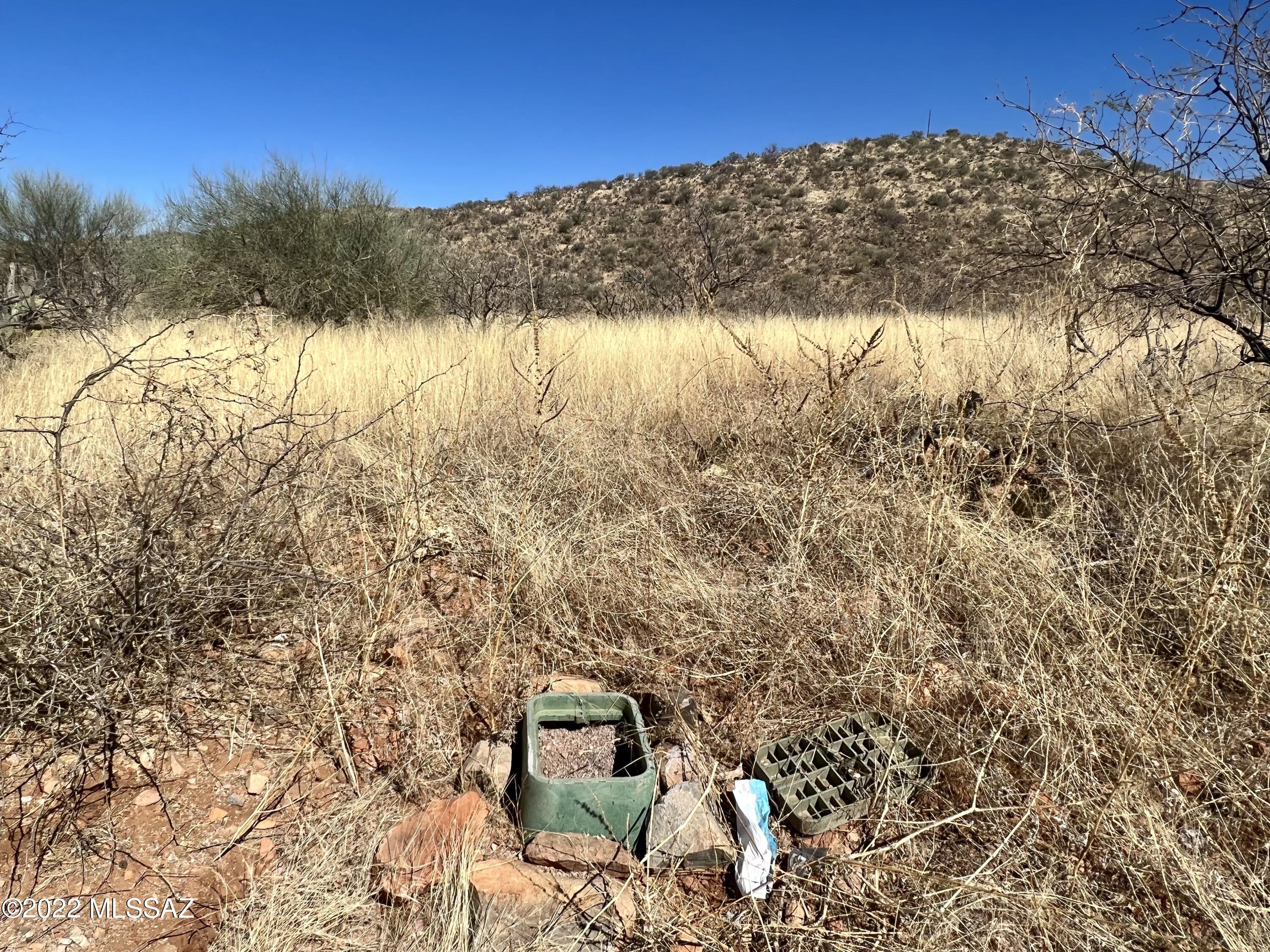 Rio Rico Ranchettes 17 - Land