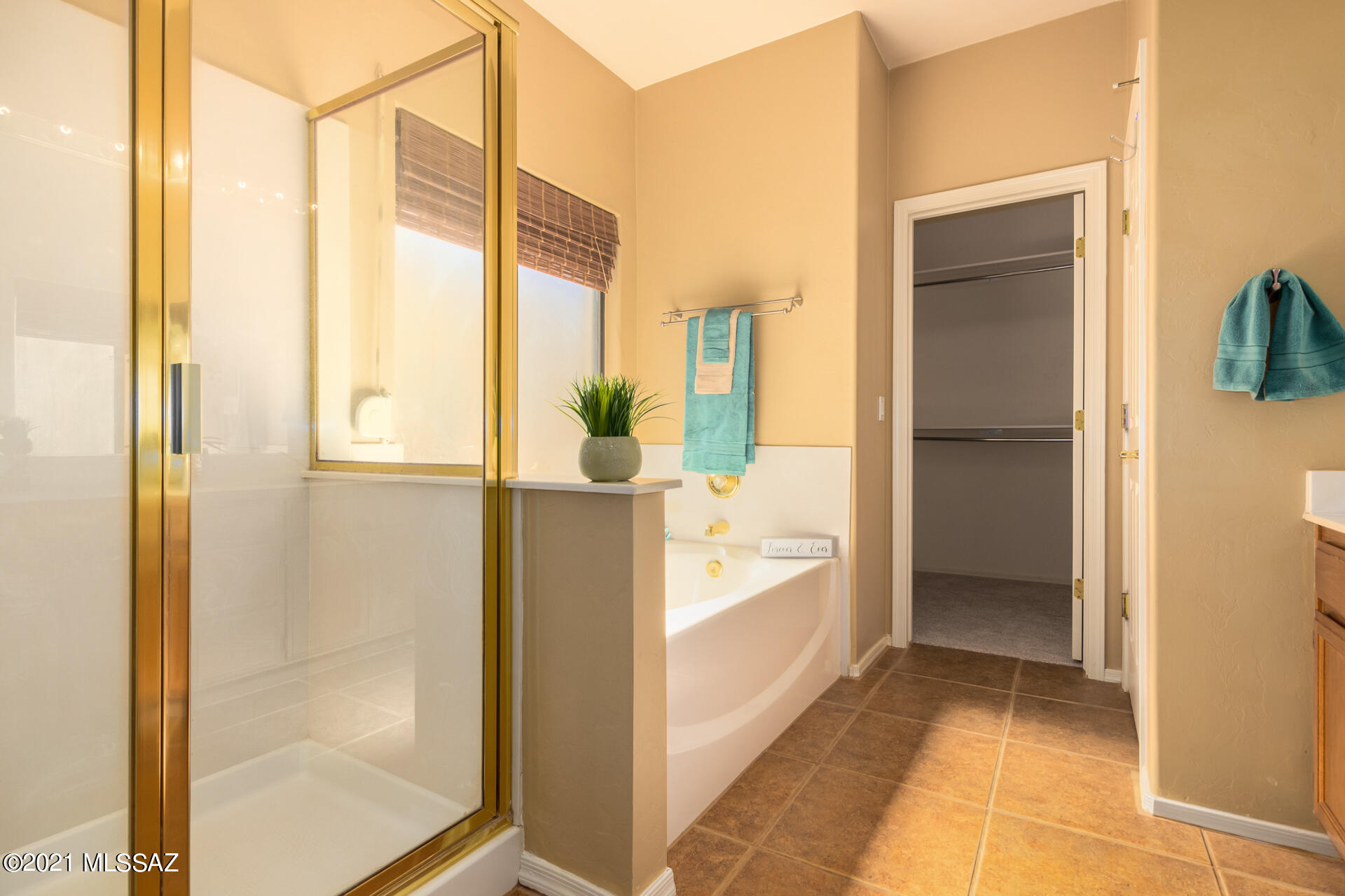 Catalina Shadows Estates Phase 4(302-390) - Residential
