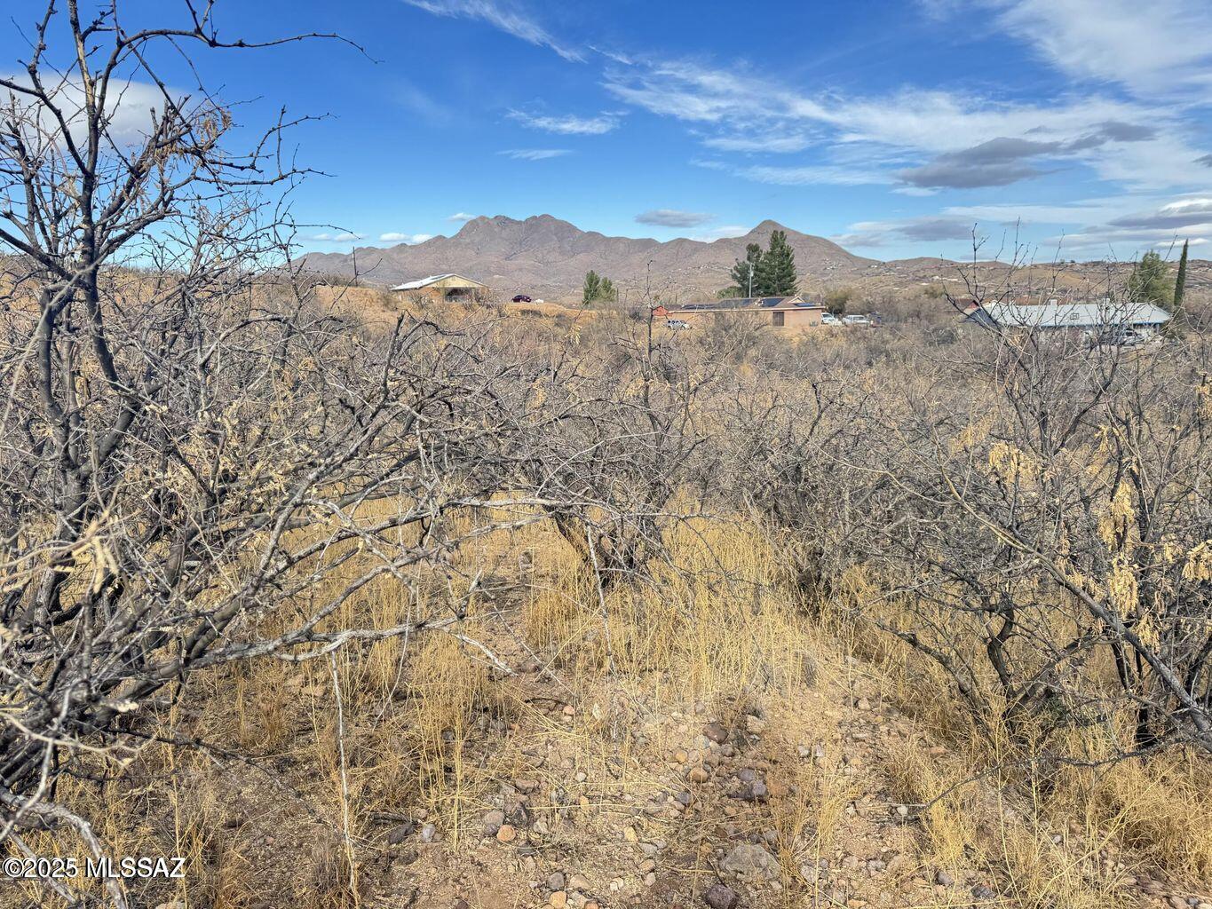 Rio Rico Estates 9 - Land