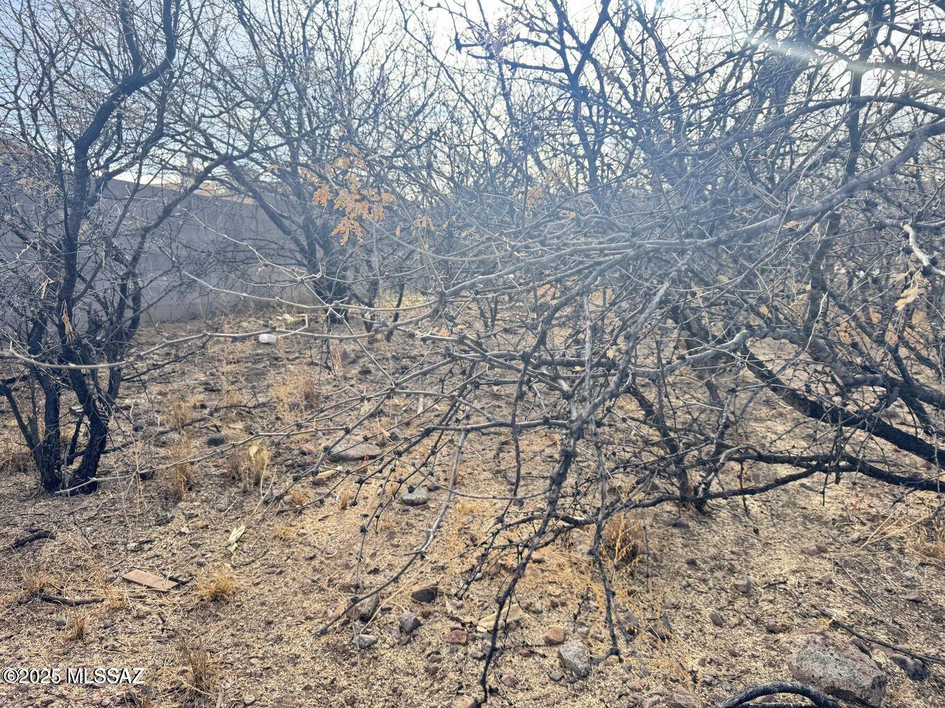 Rio Rico Estates 9 - Land