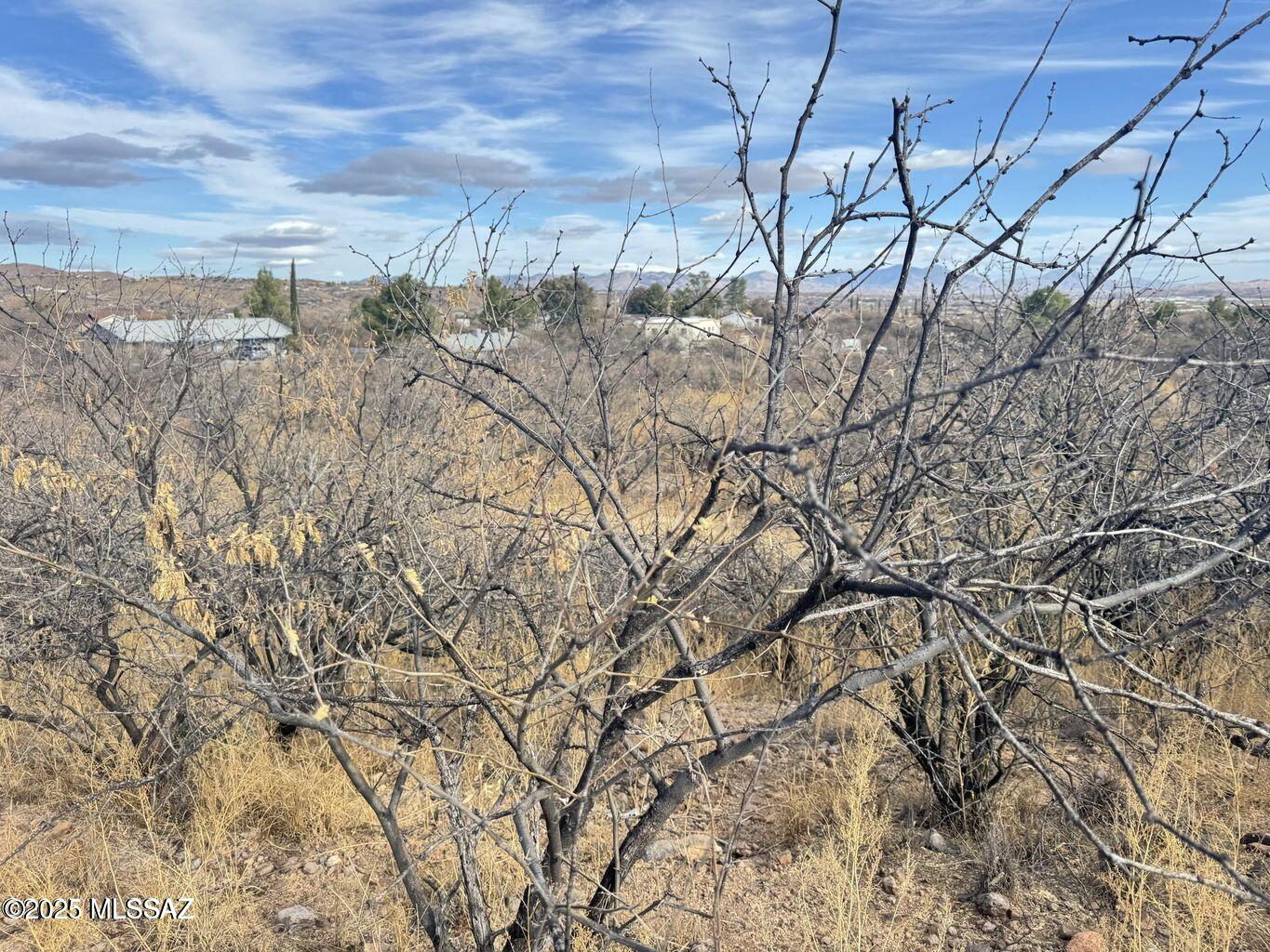 Rio Rico Estates 9 - Land