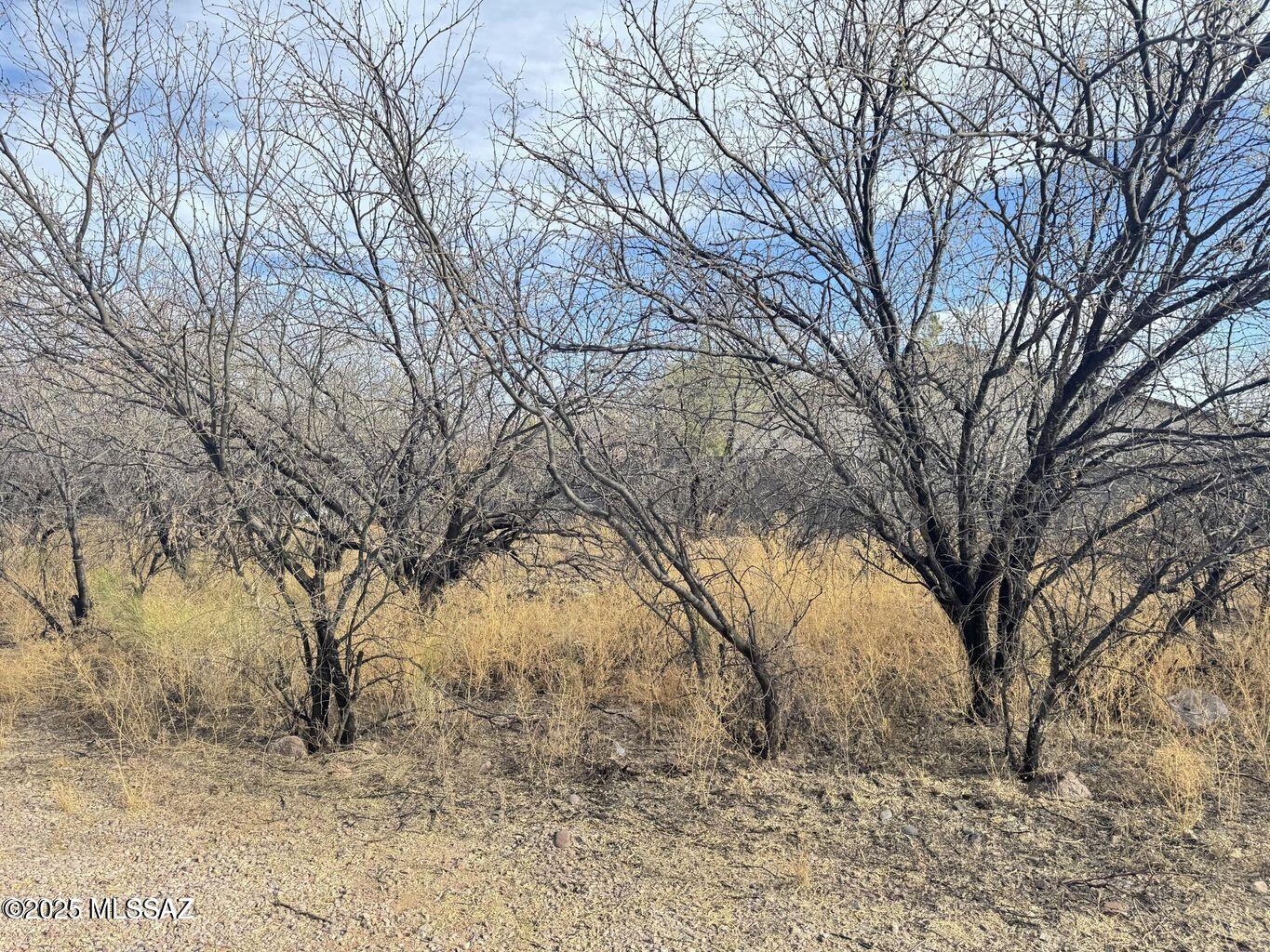 Rio Rico Estates 9 - Land