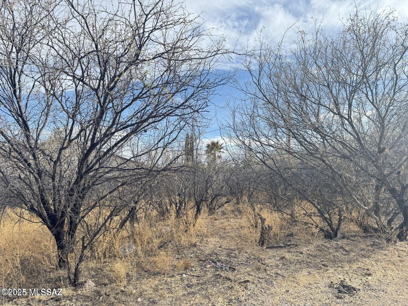 Rio Rico Estates 9 - Land