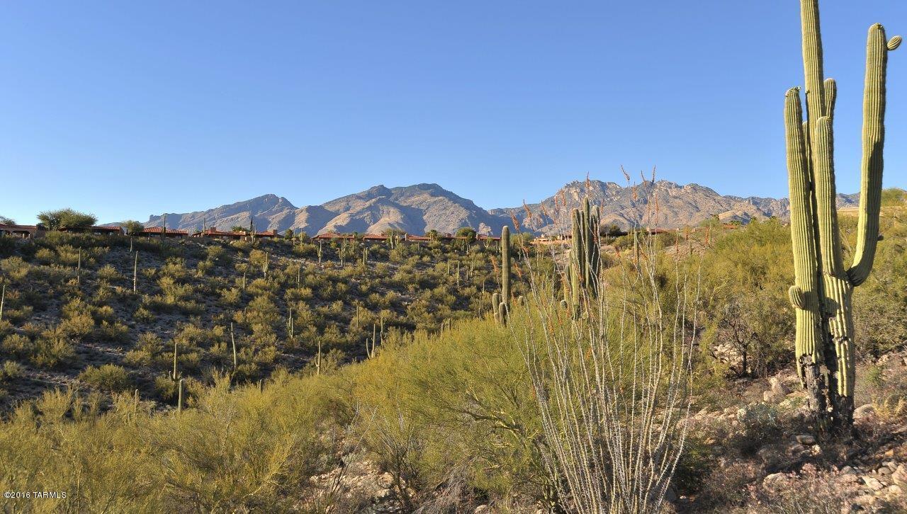 Quail Canyon (1-57) - Residential