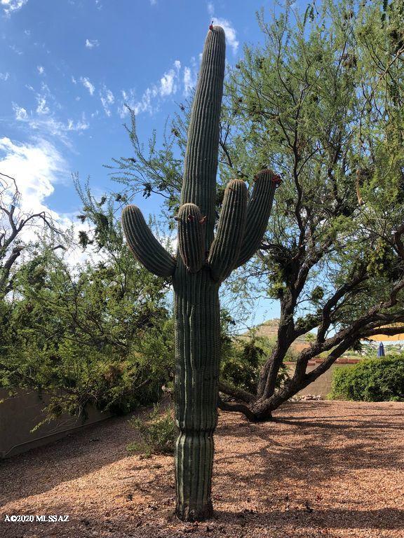 Sabino Canyon Clusters (1-56) - Residential