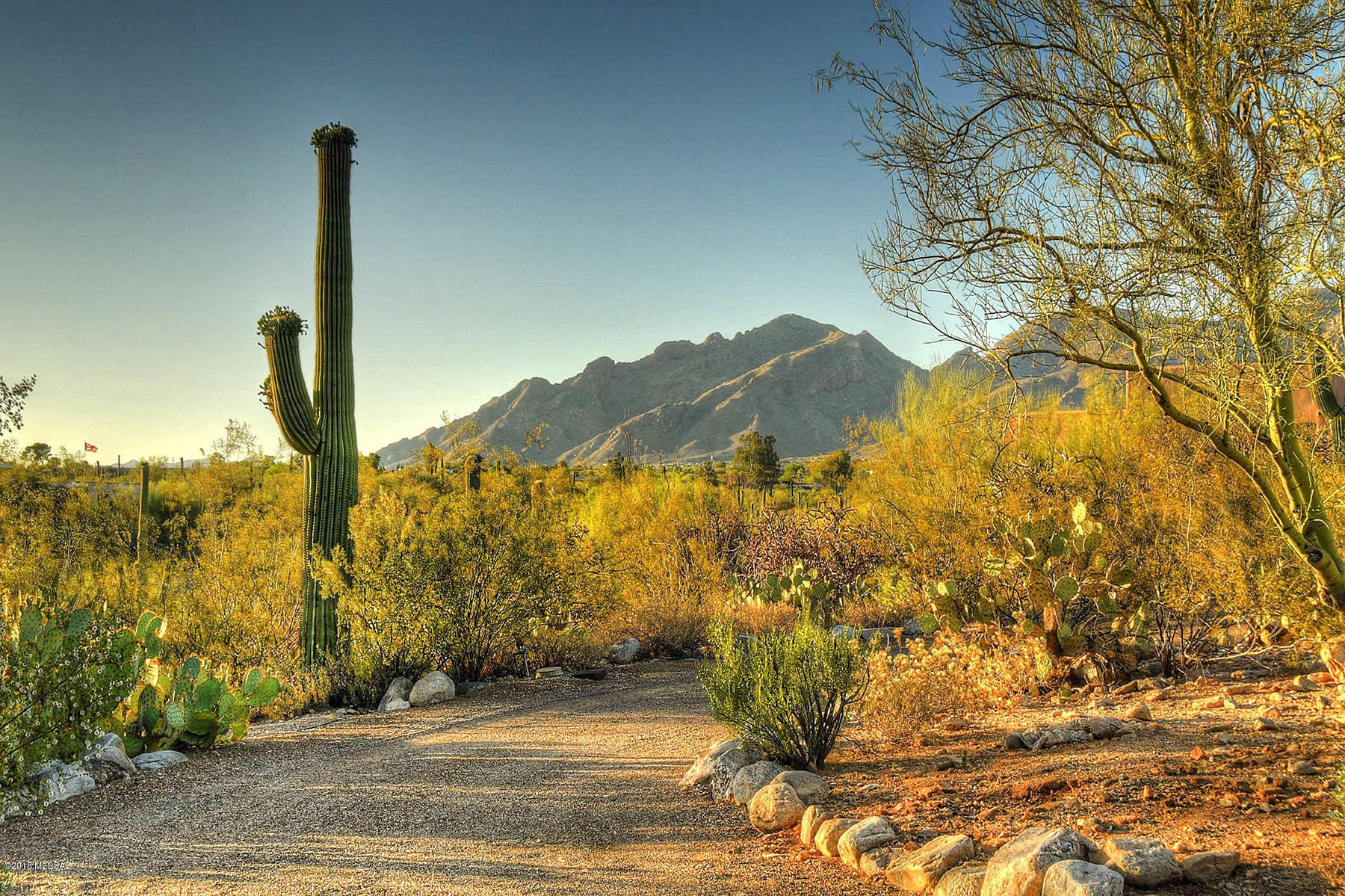 Catalina Foothills Estates - Residential