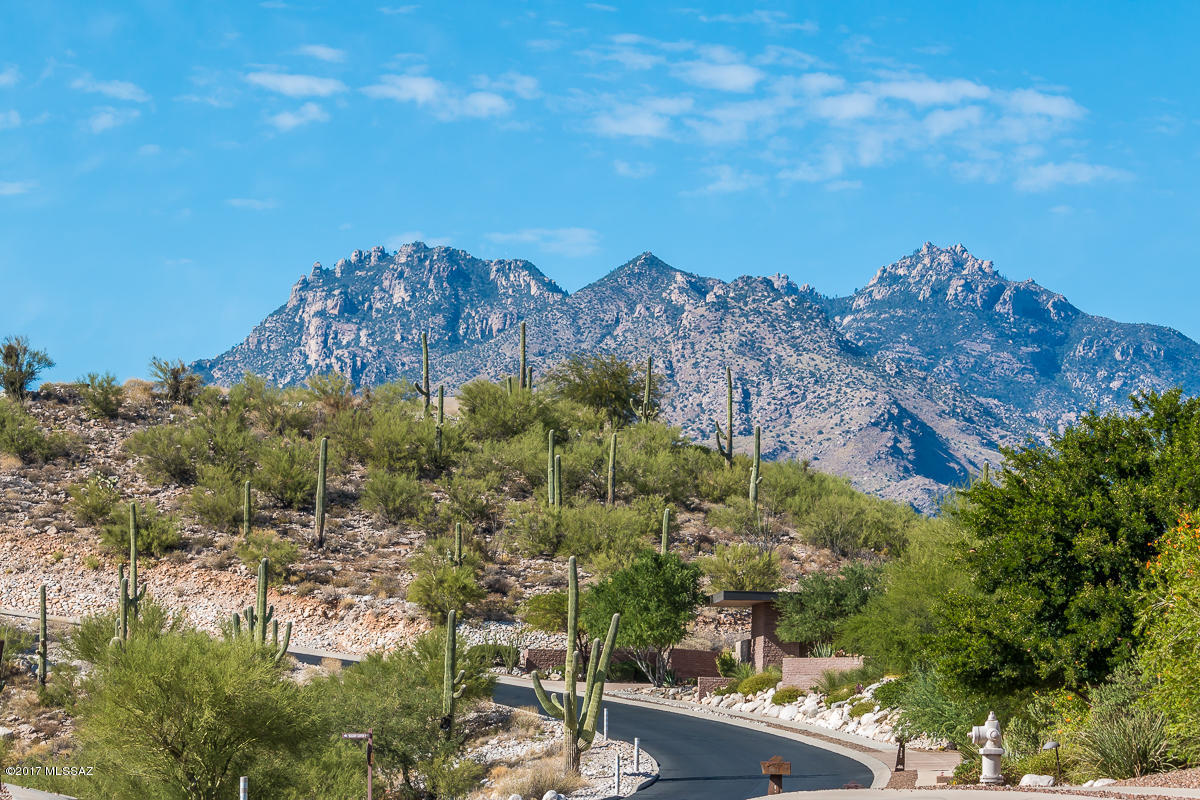 Sabino Mountain (1-290) - Residential