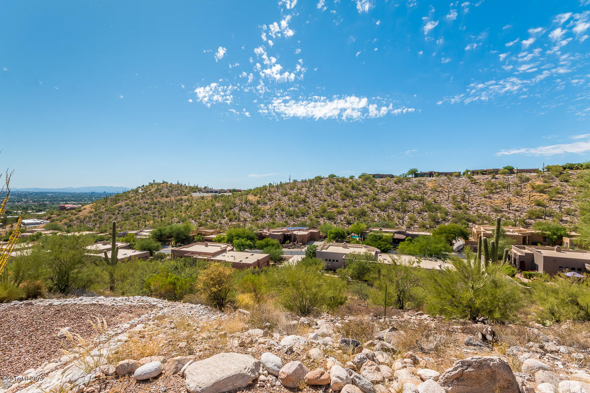 Sabino Mountain (1-290) - Residential