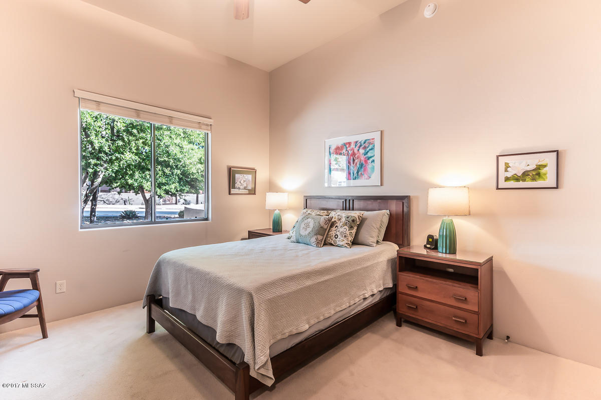 Sabino Mountain (1-290) - Residential