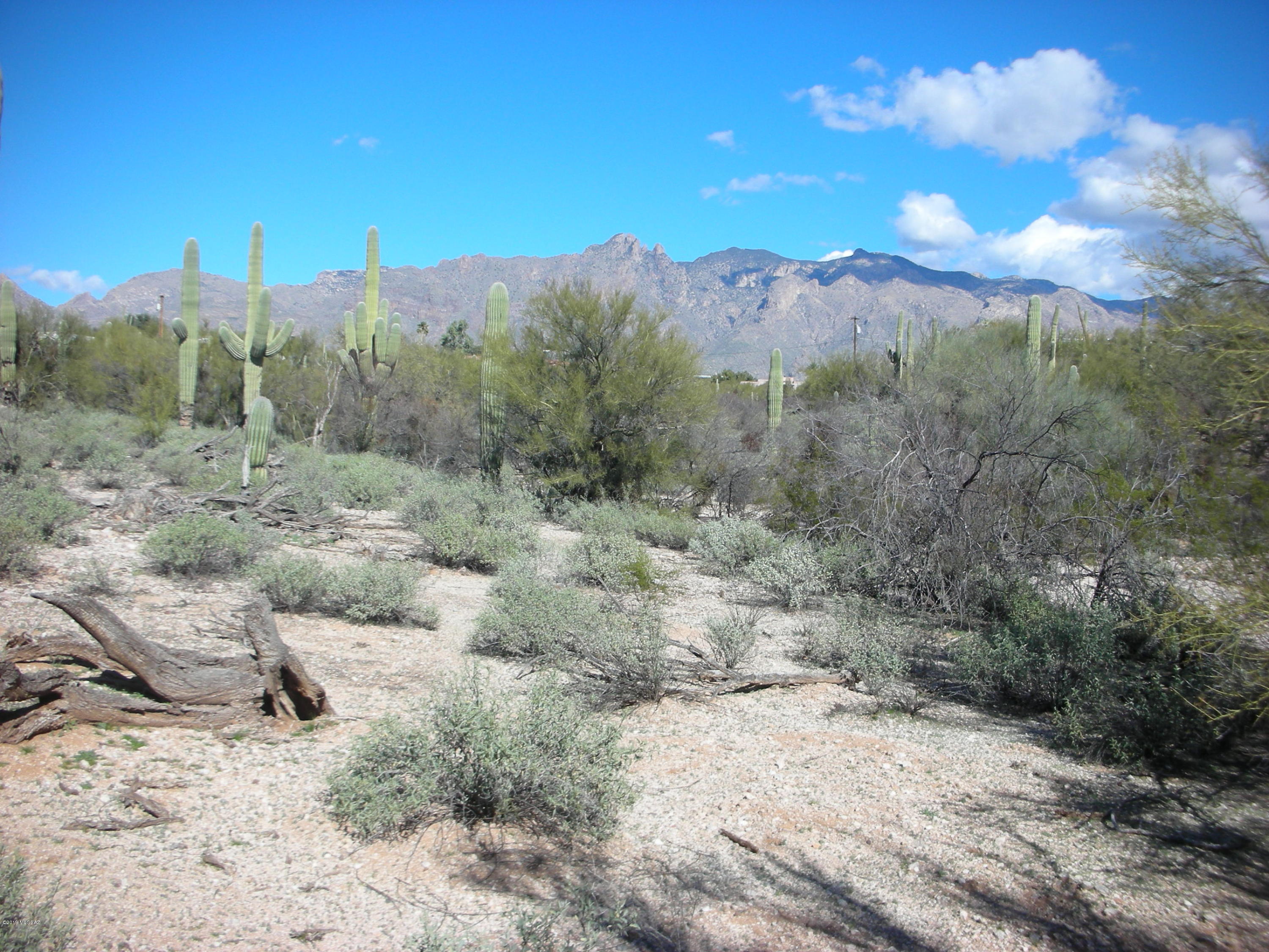 Catalina Foothills Estates - Land