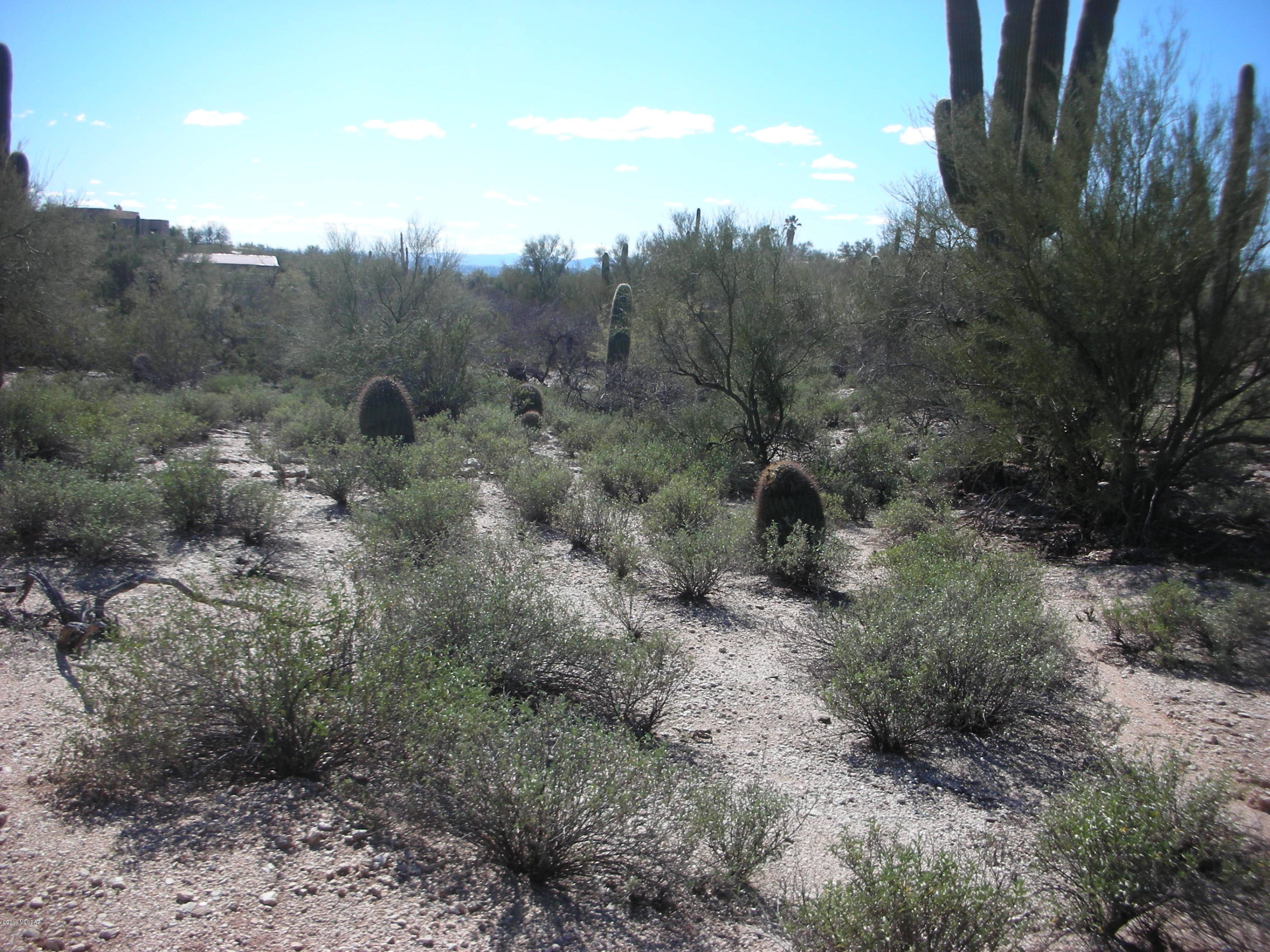 Catalina Foothills Estates - Land