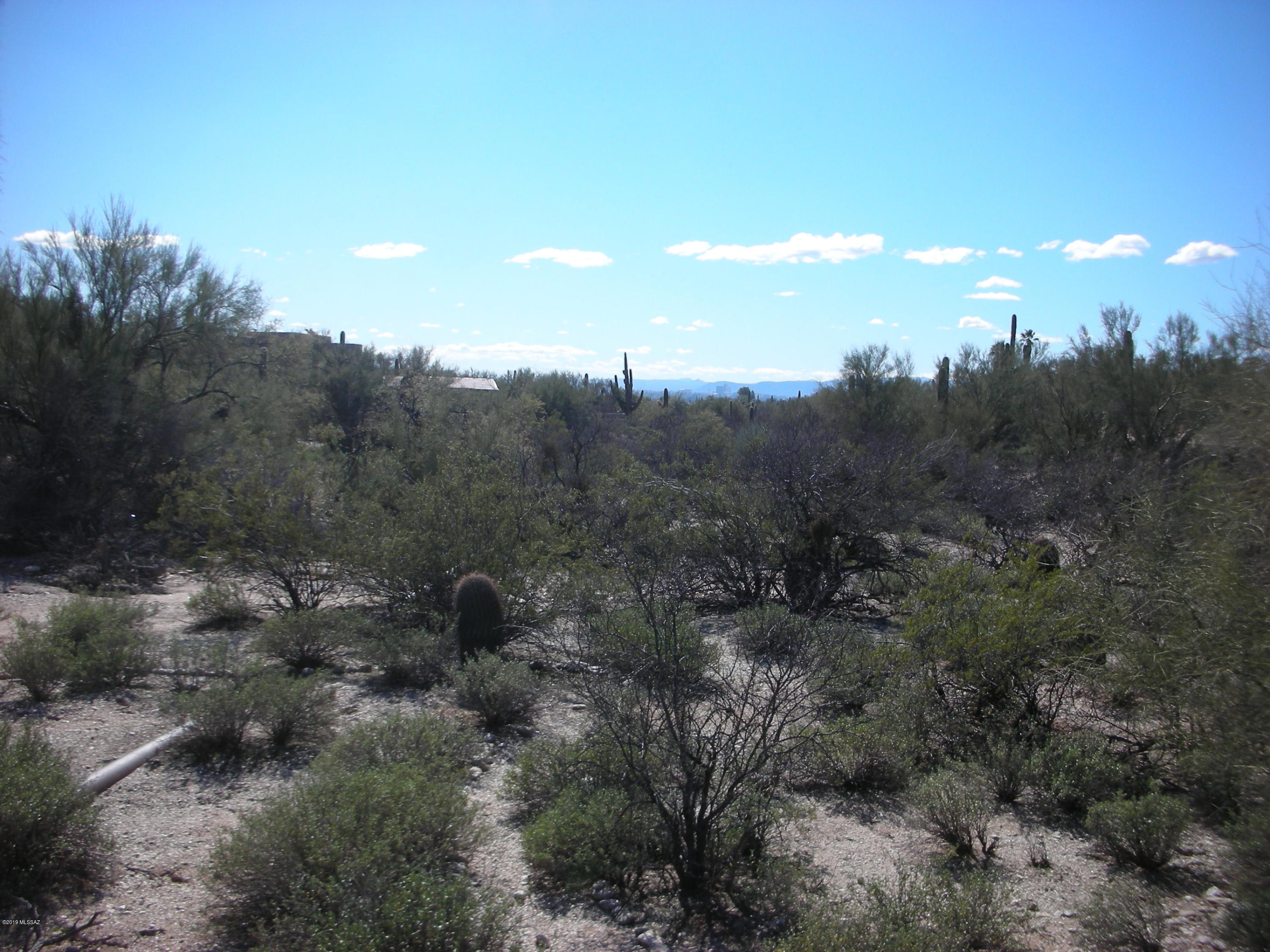 Catalina Foothills Estates - Land