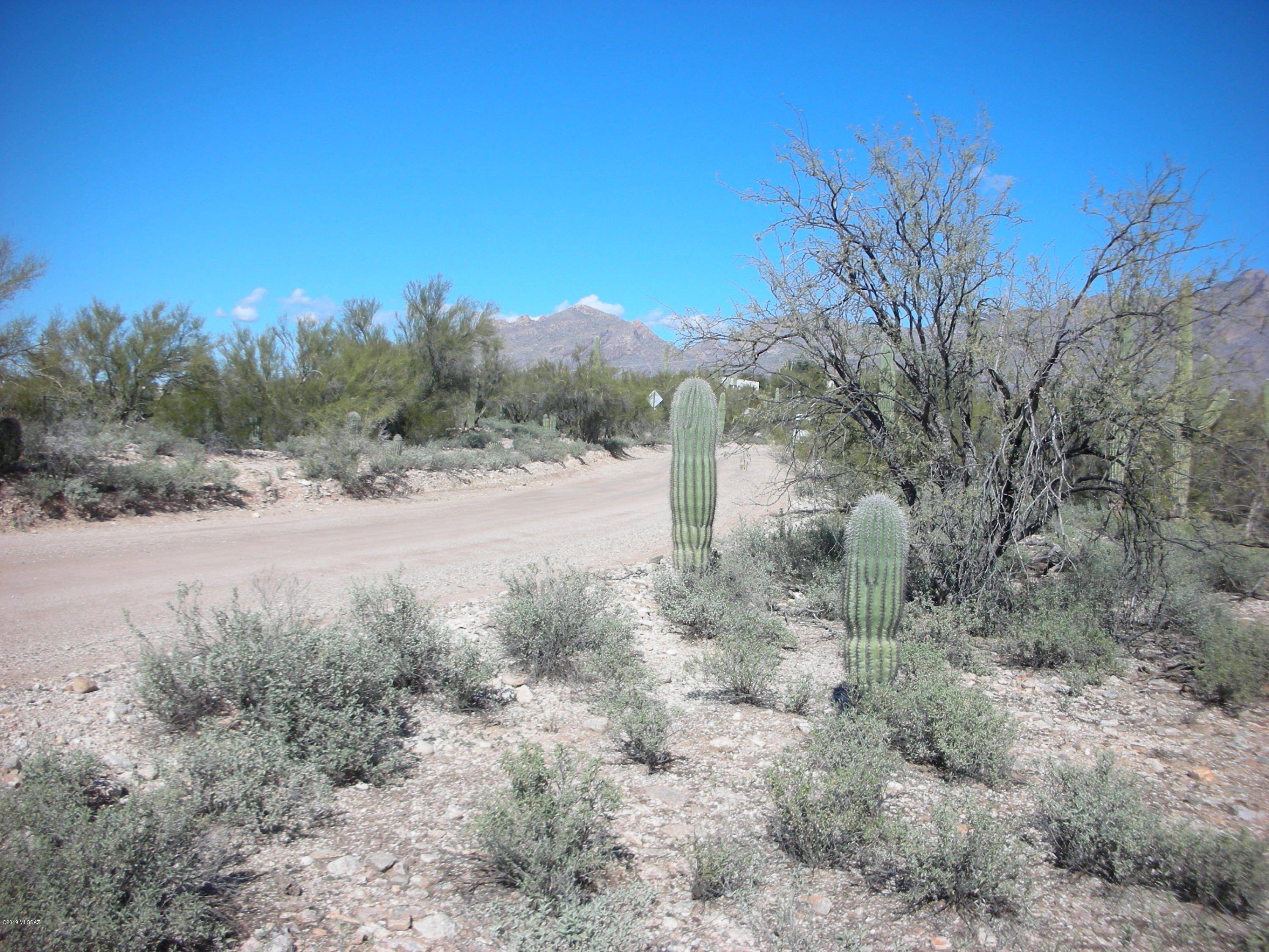 Catalina Foothills Estates - Land