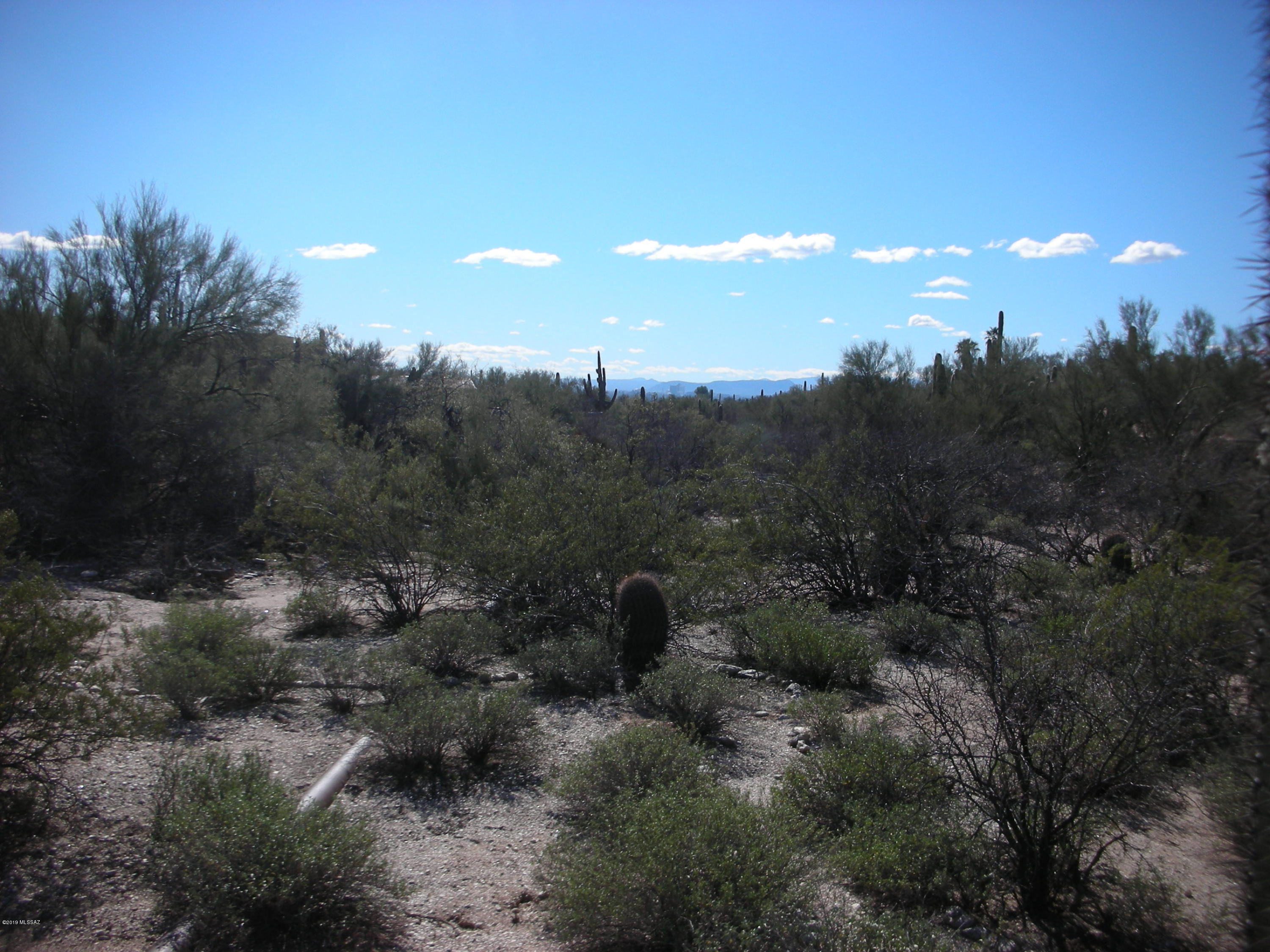 Catalina Foothills Estates - Land