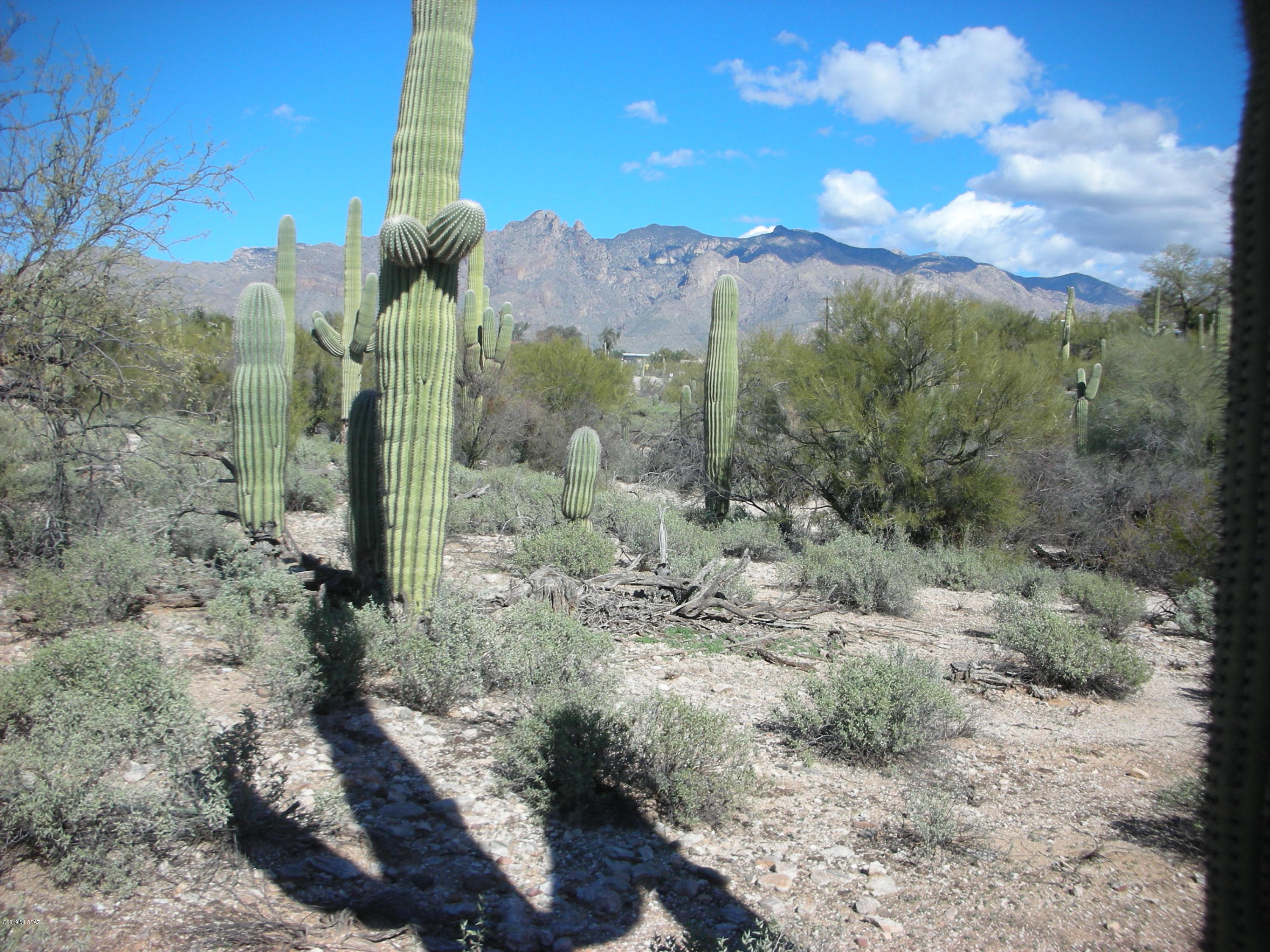 Catalina Foothills Estates - Land