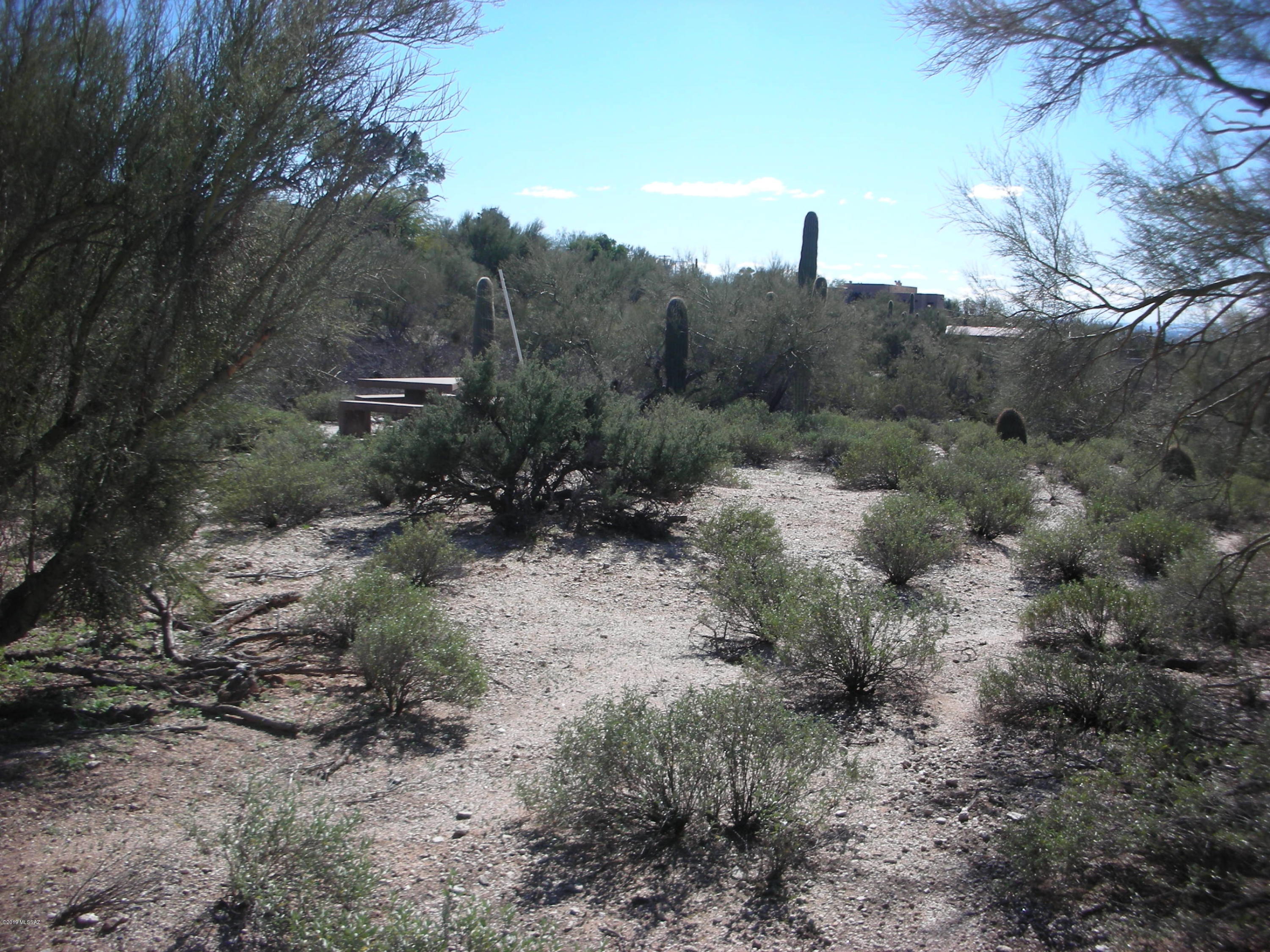 Catalina Foothills Estates - Land
