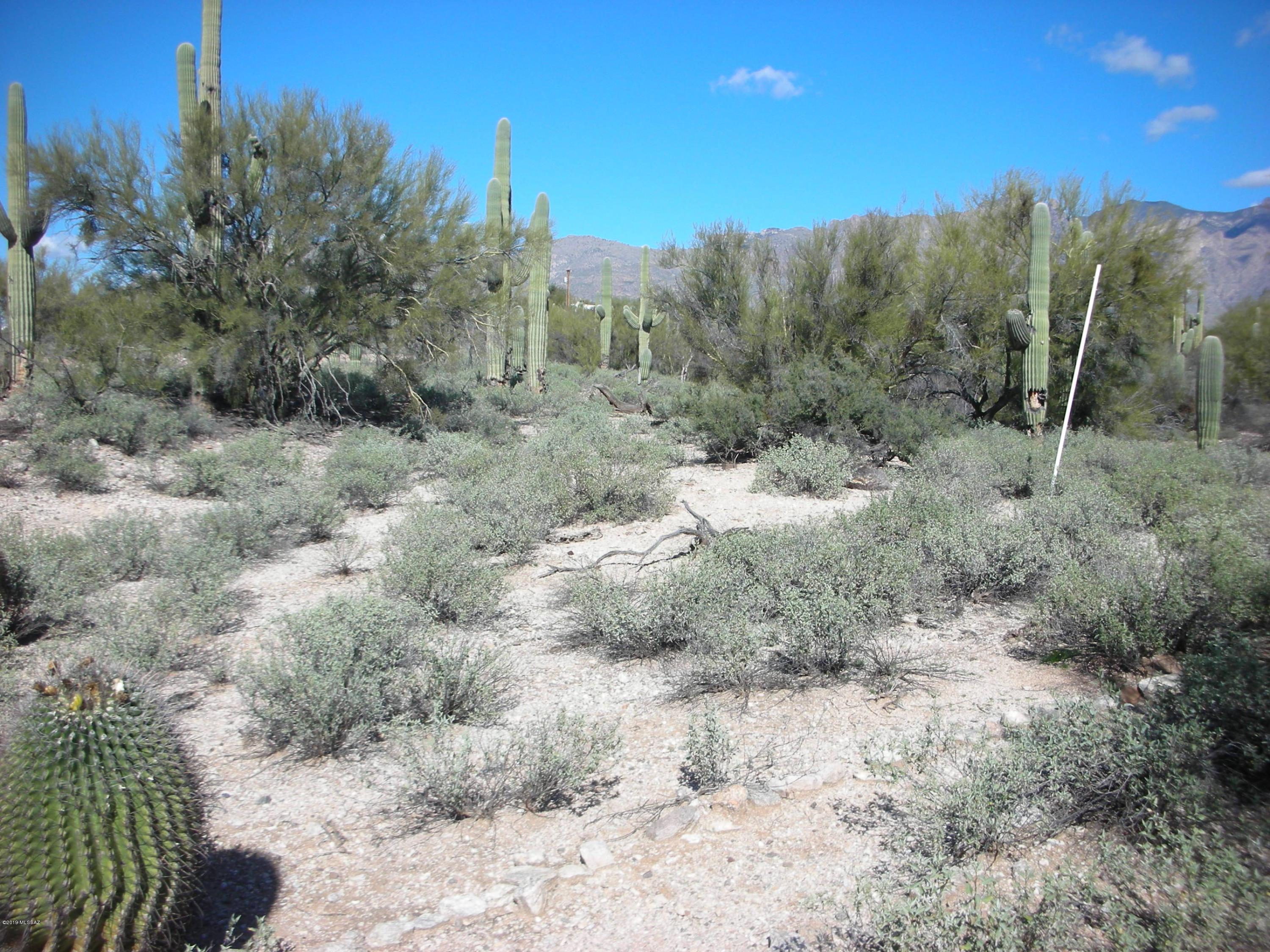 Catalina Foothills Estates - Land