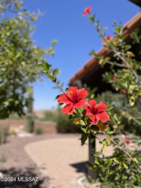 A home in Tucson