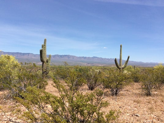 ADDRESS PRIVATE, SAN MANUEL, AZ 85631 - Image c90b1ec0e3bcd644d71d3852e2709dad/1342908049