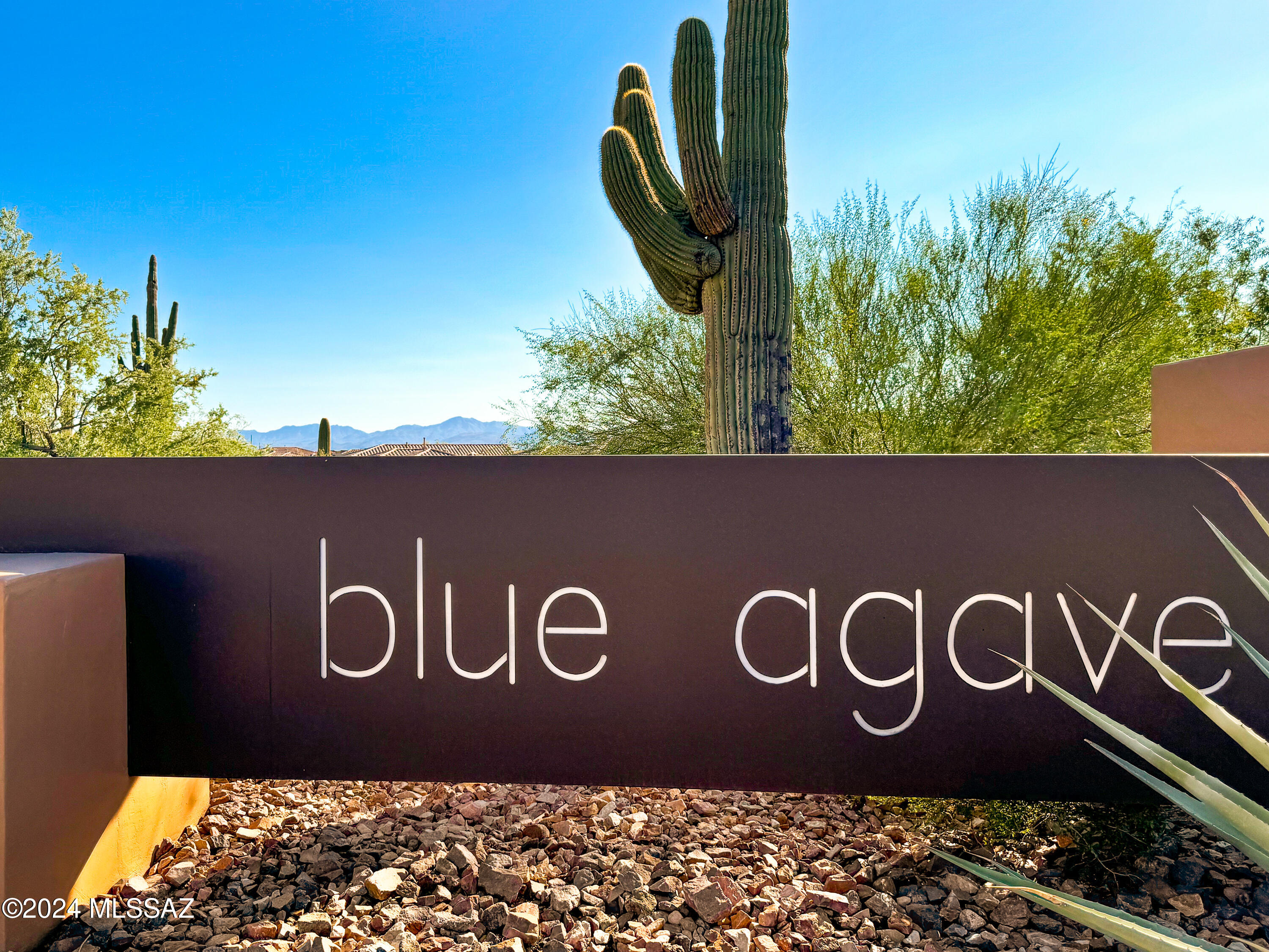 Blue Agave At Dove Mountain - Residential