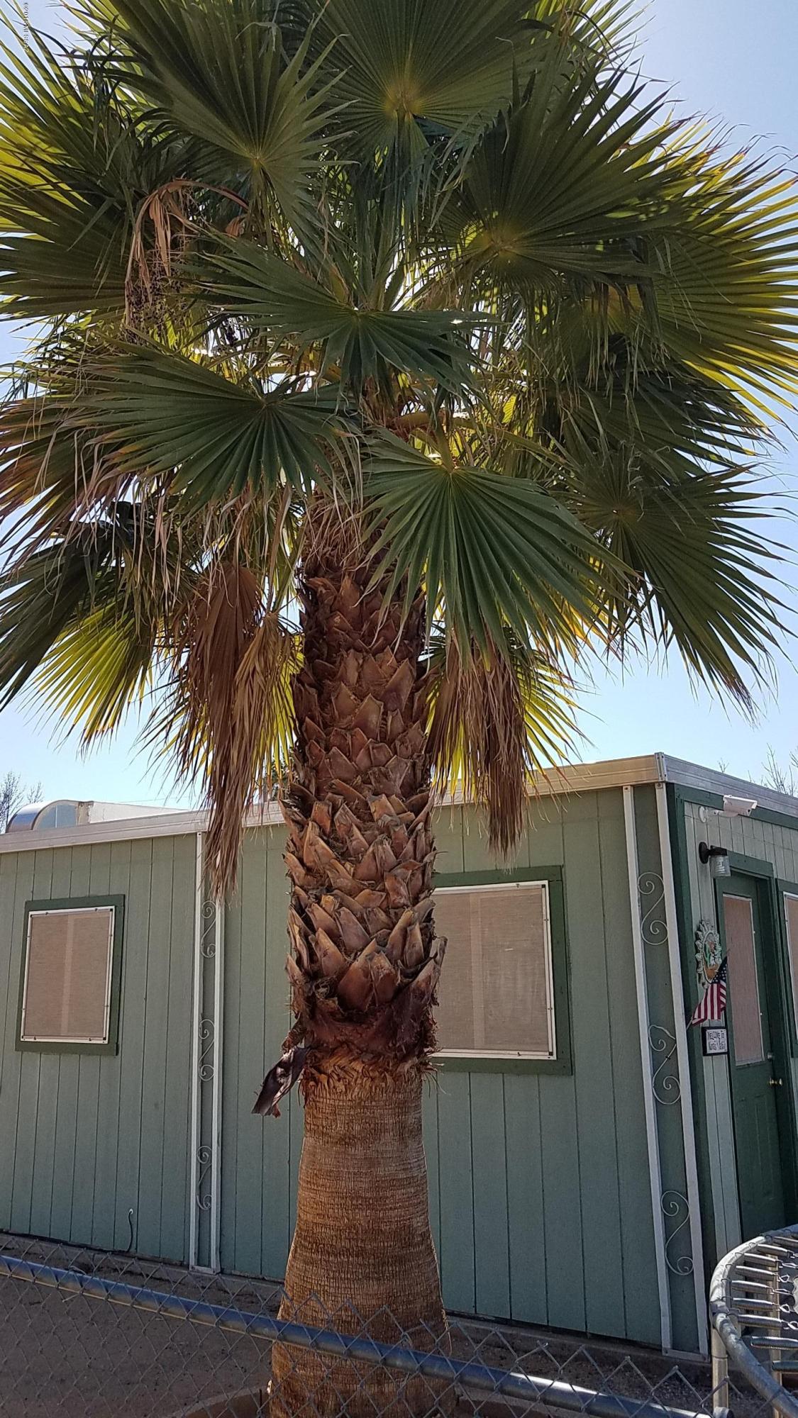 Palm Grove Estates - Residential Income