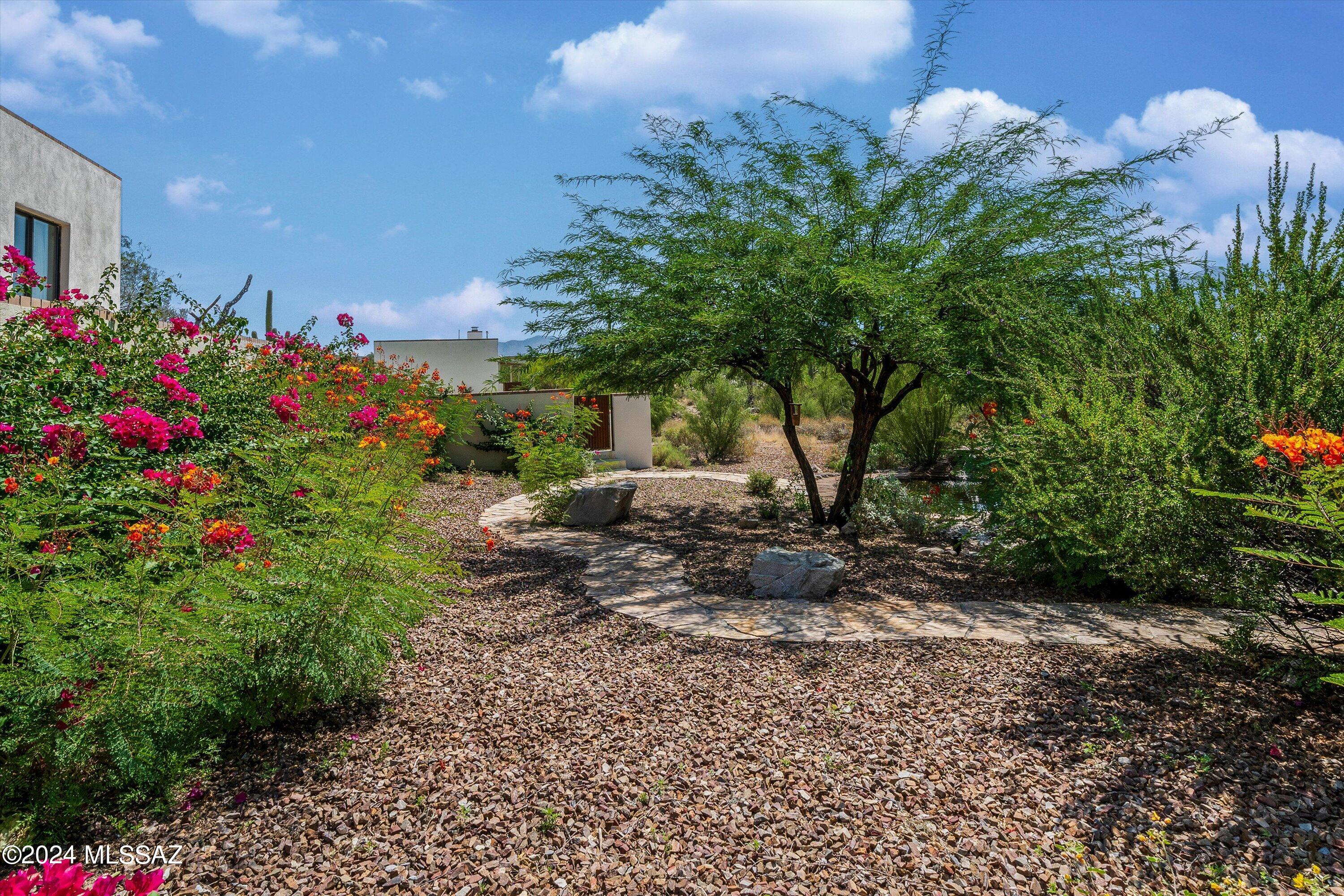 La Cholla Airpark - Residential