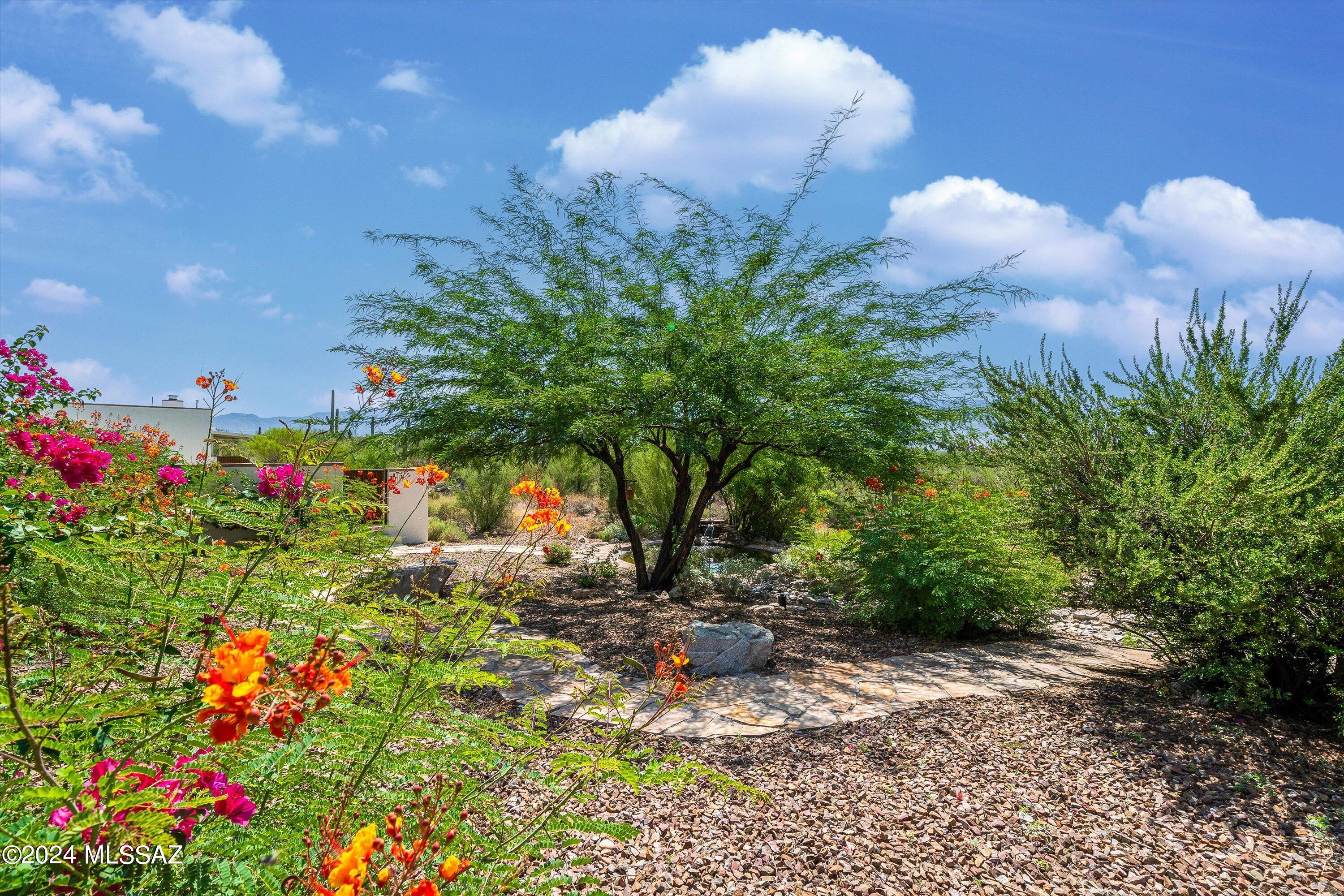 La Cholla Airpark - Residential