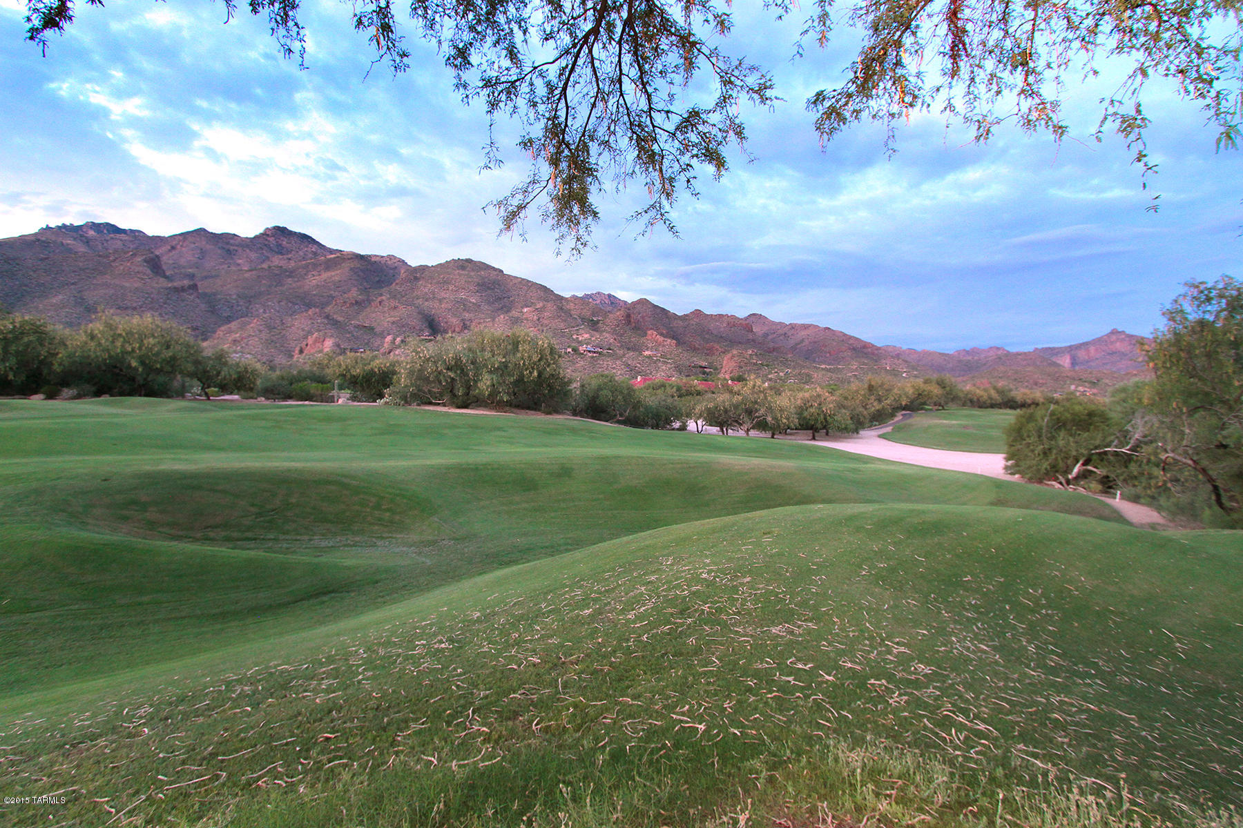 Ventana Canyon Estates (1-63) - Residential