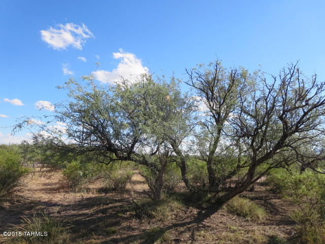 San Pedro Ranches - Land