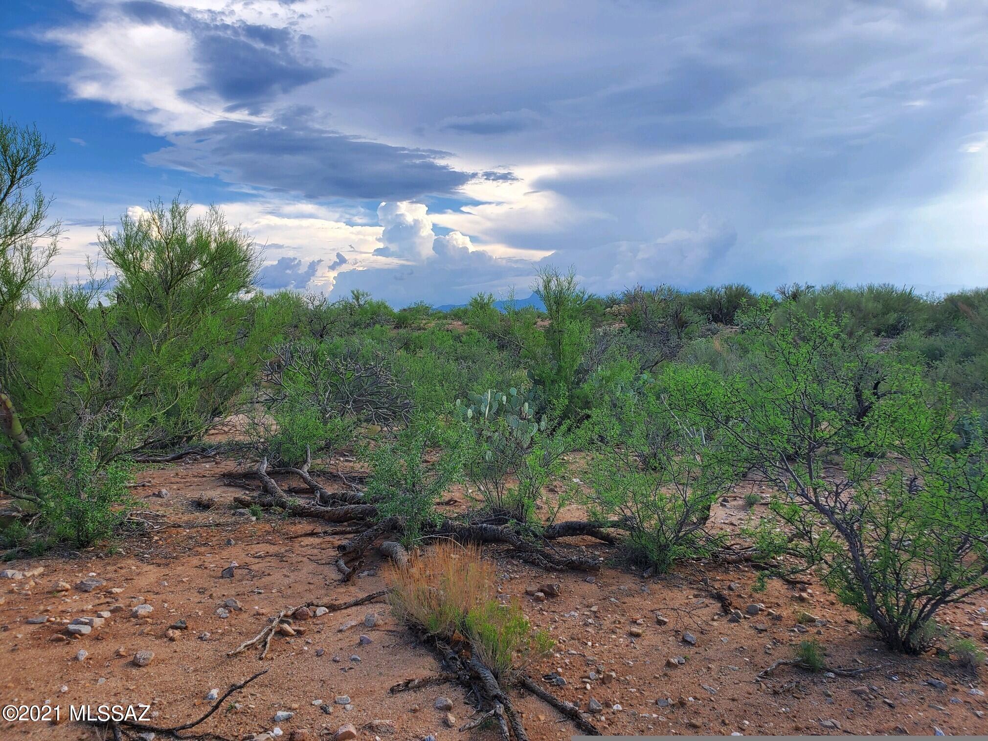 Diamond Bell Ranch - Tucson Unit 11 (1-448) - Land