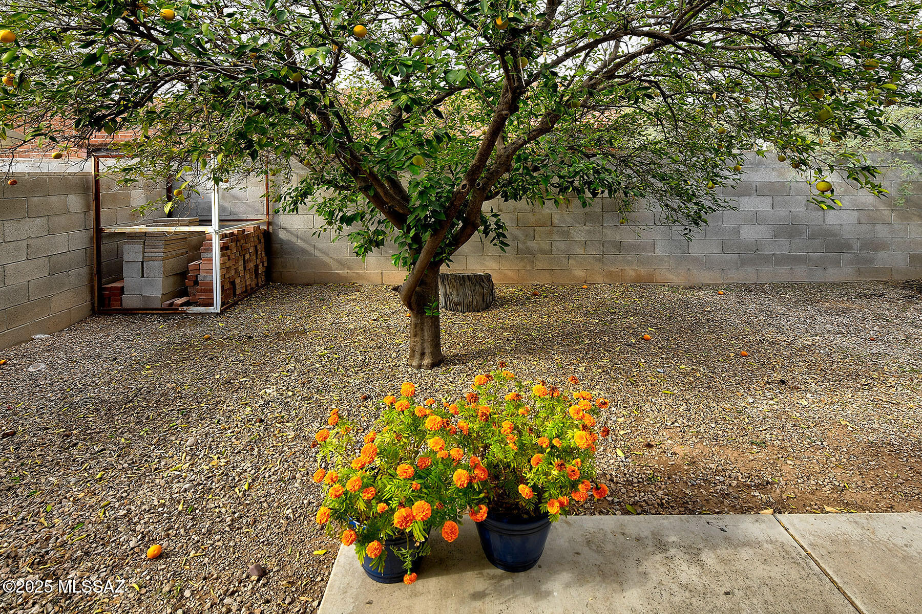 1661&1663 N Catalina Avenue