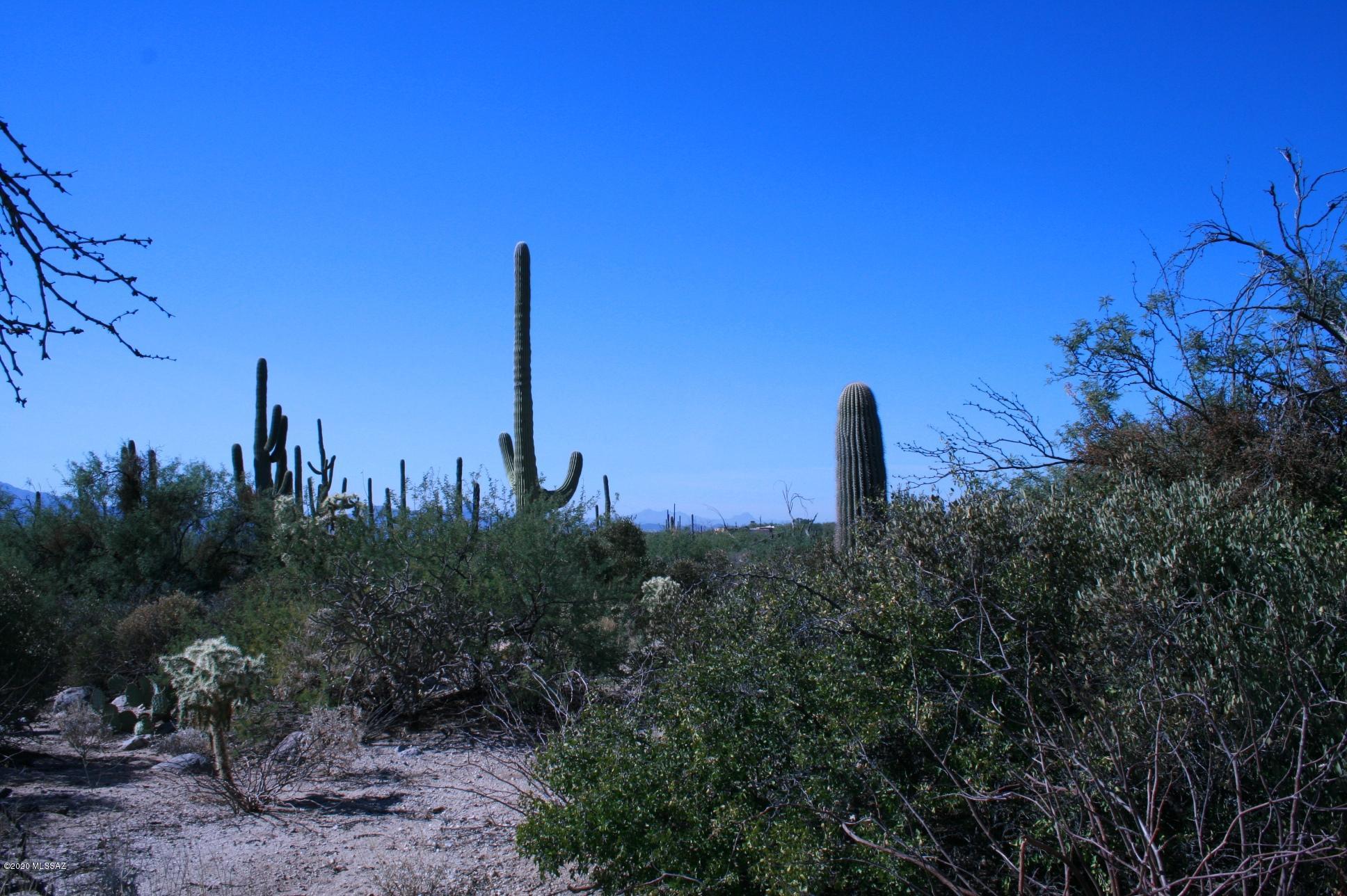 Pima Canyon Estates (30,33,96-102,115,124-127,136-139,147-151,16) - Land